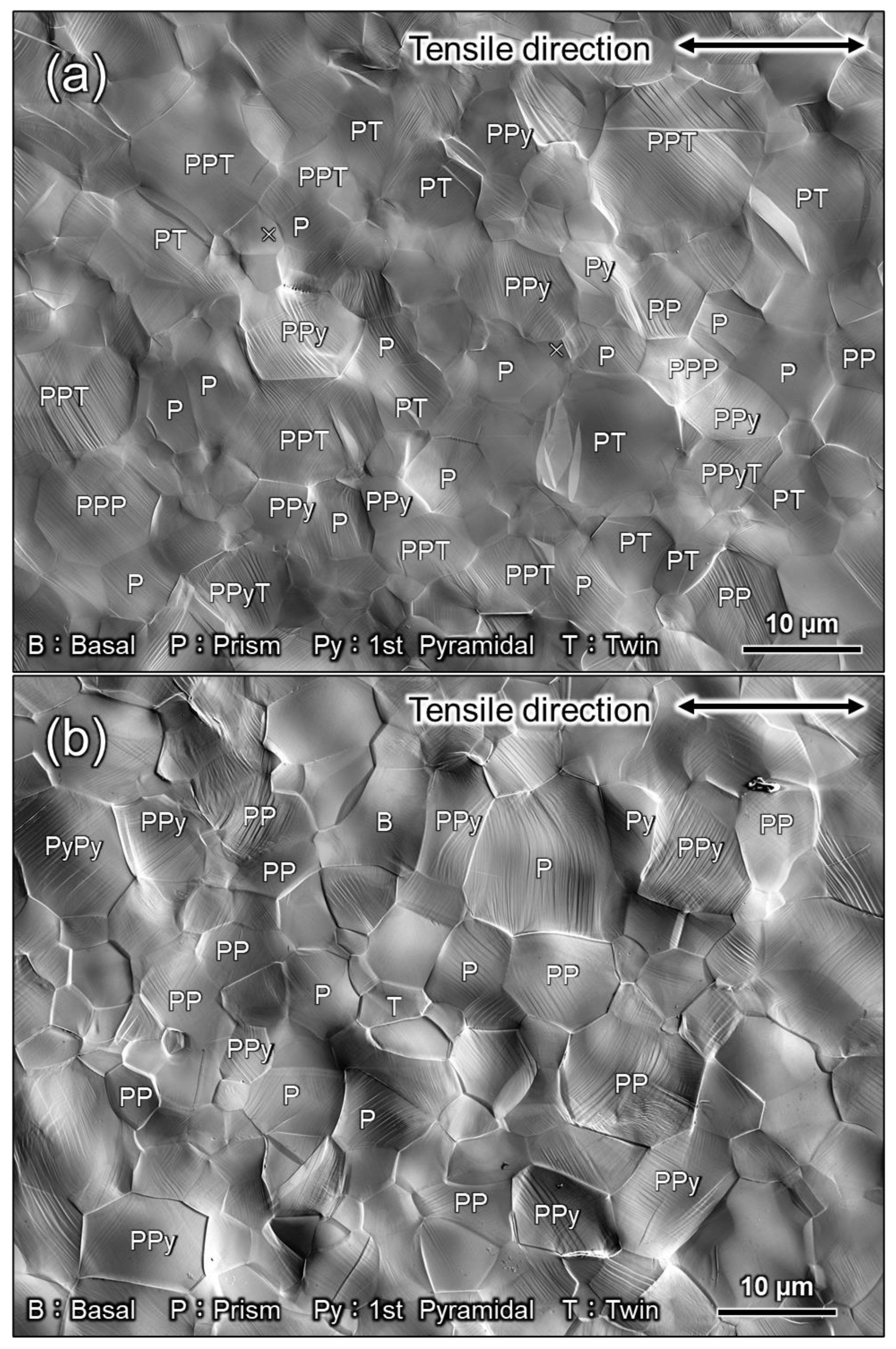 Materials 16 00529 g010 Materials 16 00529 g010