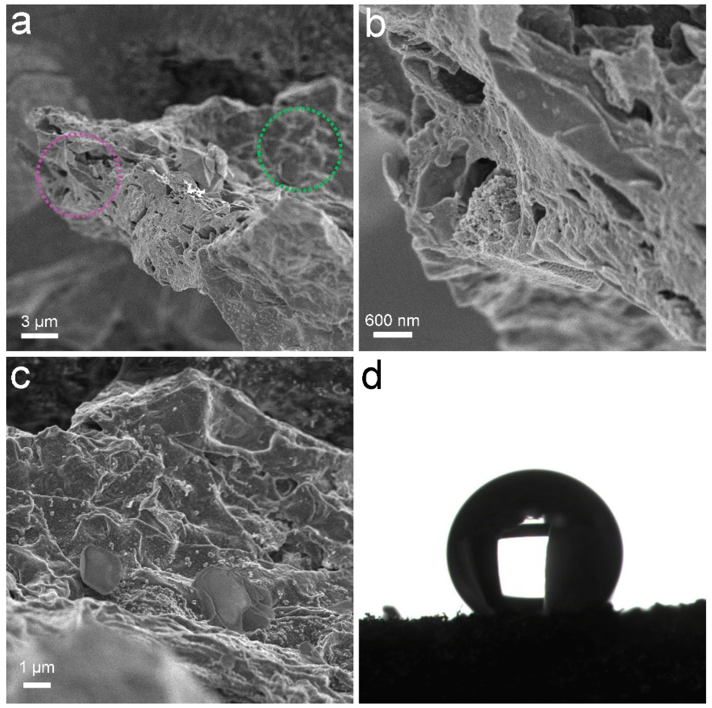 Materials 16 00534 g001