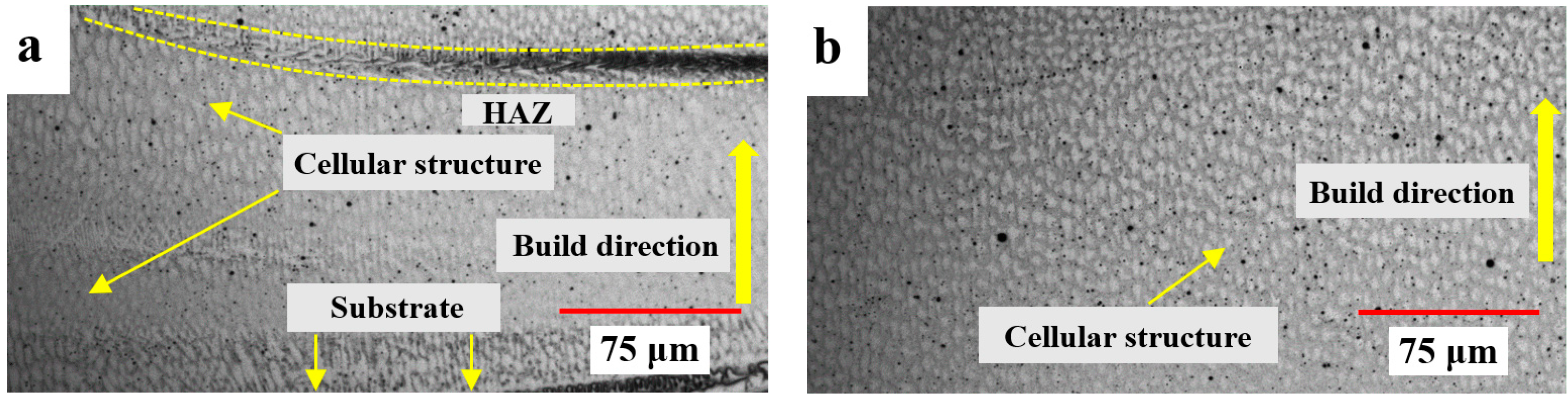 Materials 16 00535 g006a