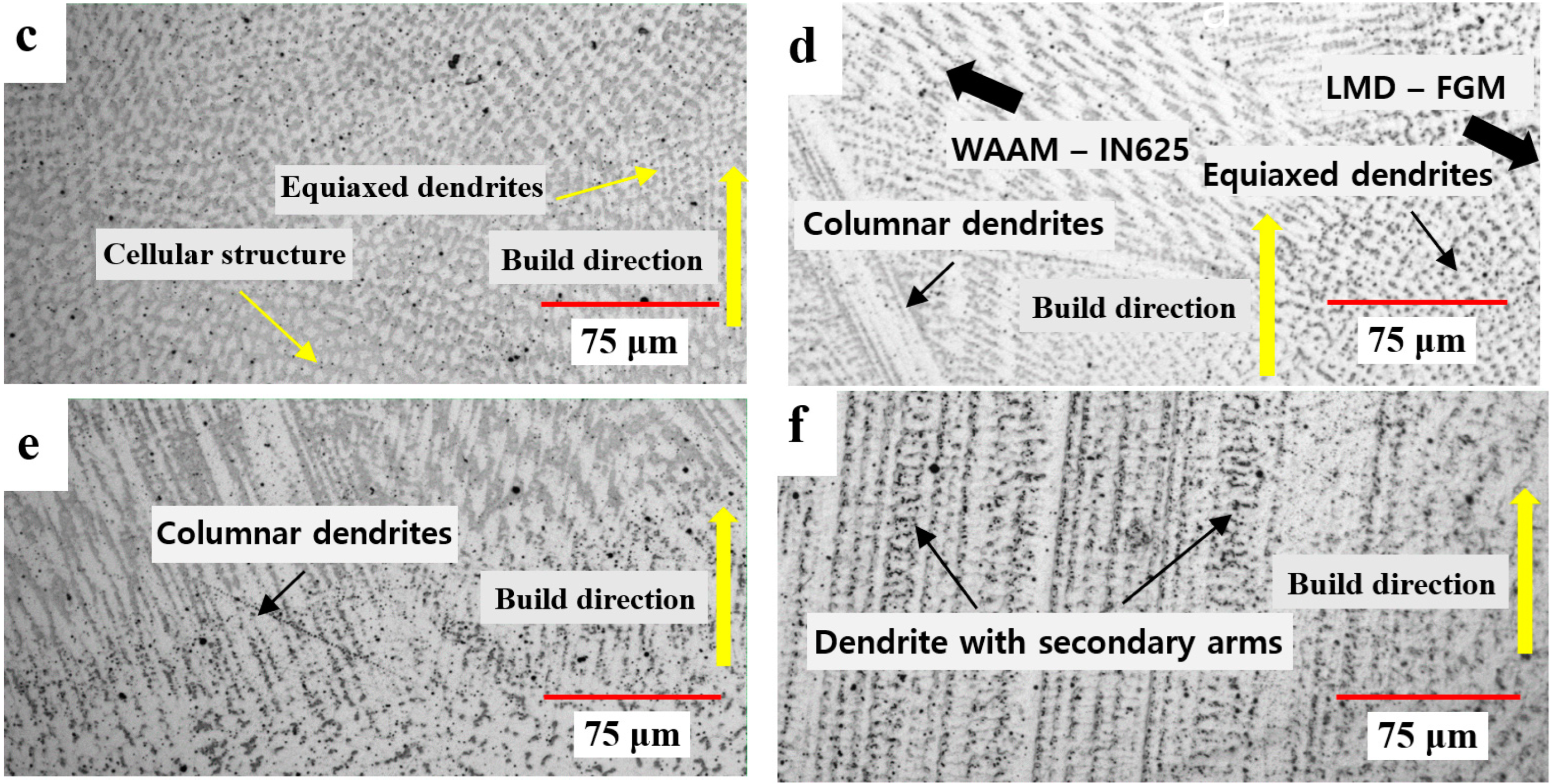 Materials 16 00535 g006b