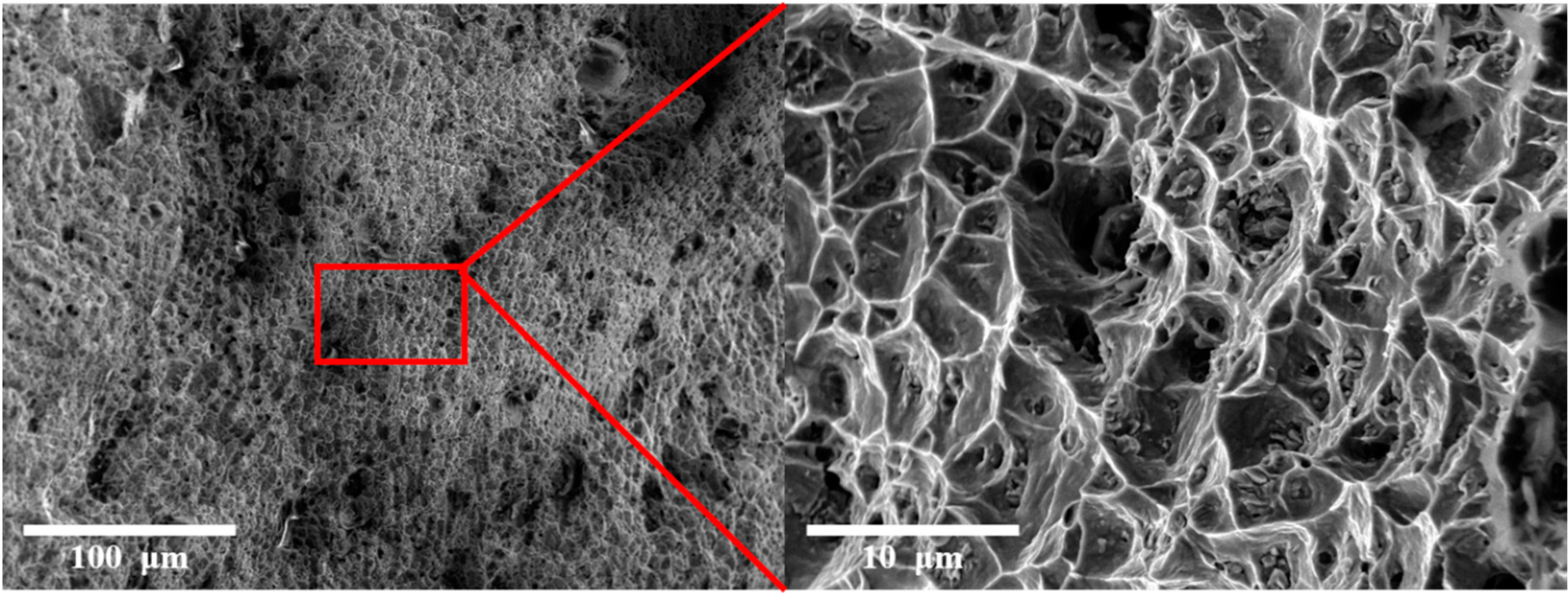 Materials 16 00535 g009