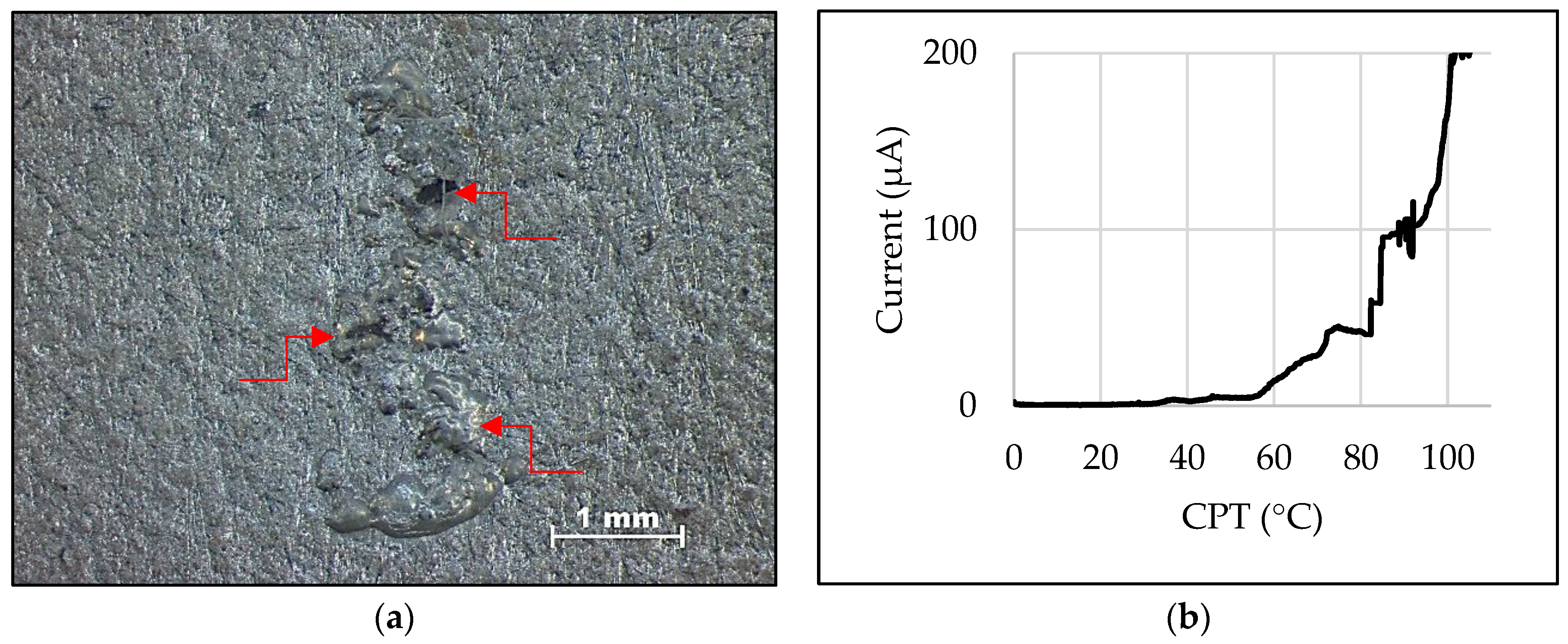 Materials 16 00543 g005