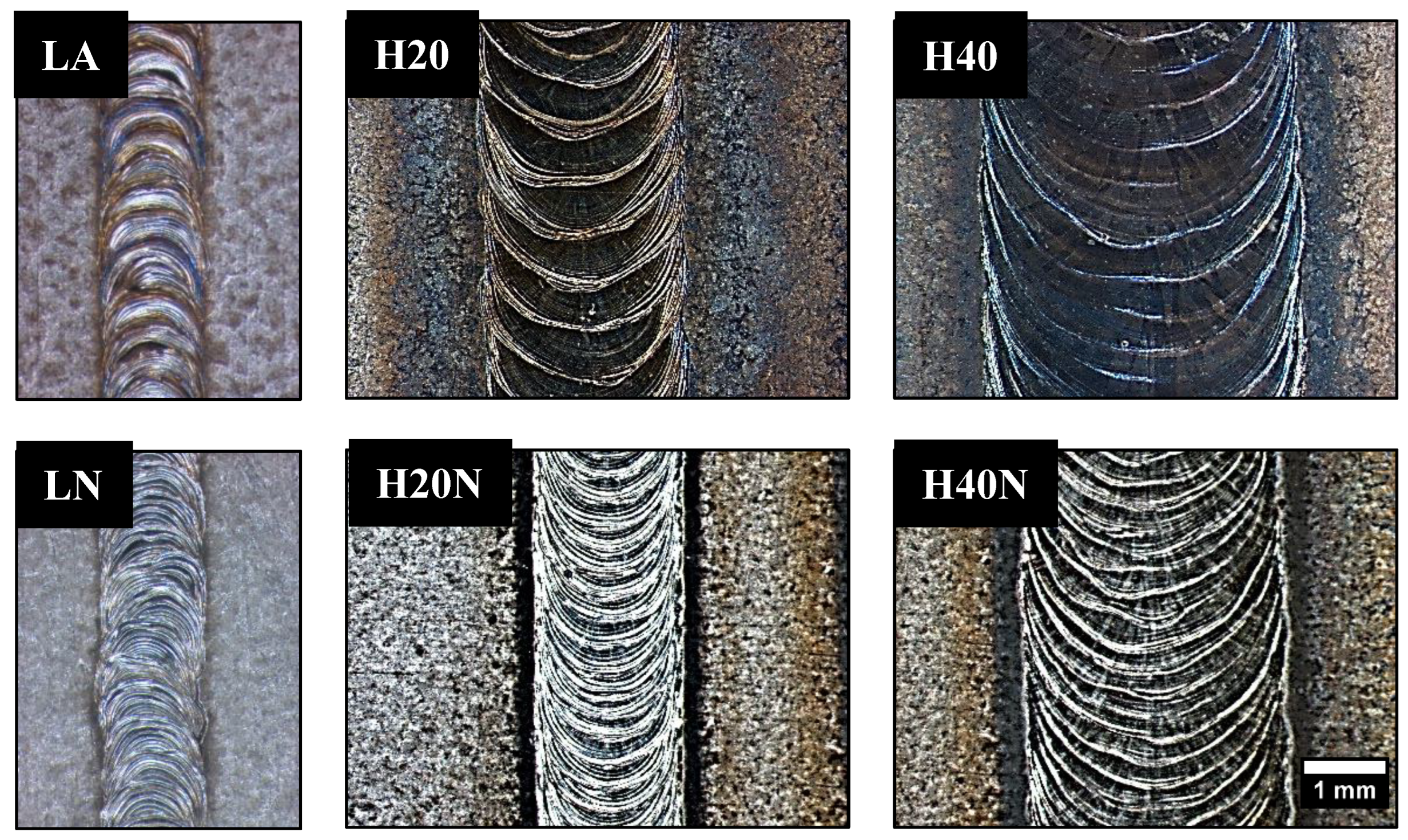 Materials 16 00543 g006