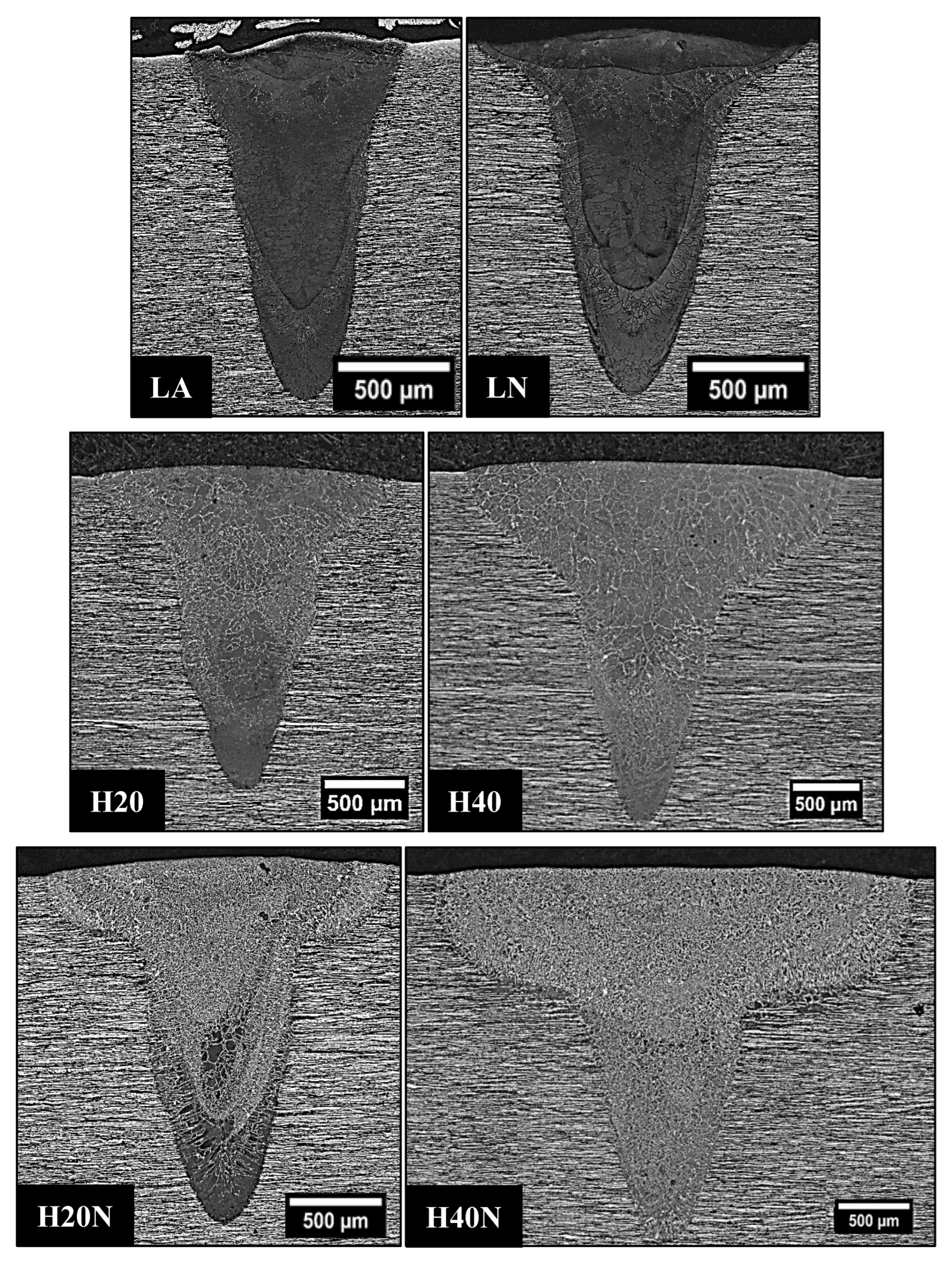 Materials 16 00543 g007