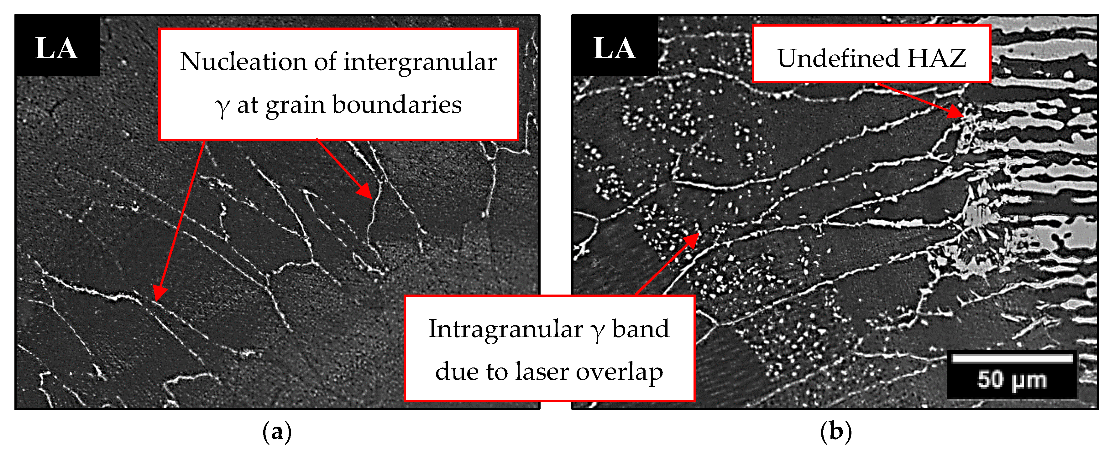 Materials 16 00543 g008