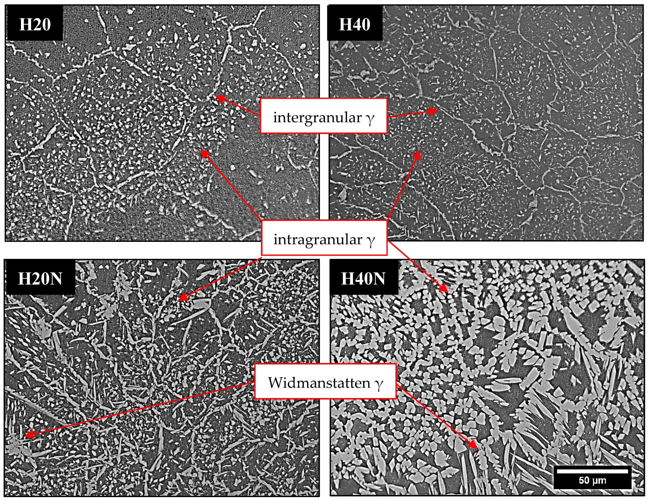 Materials 16 00543 g010