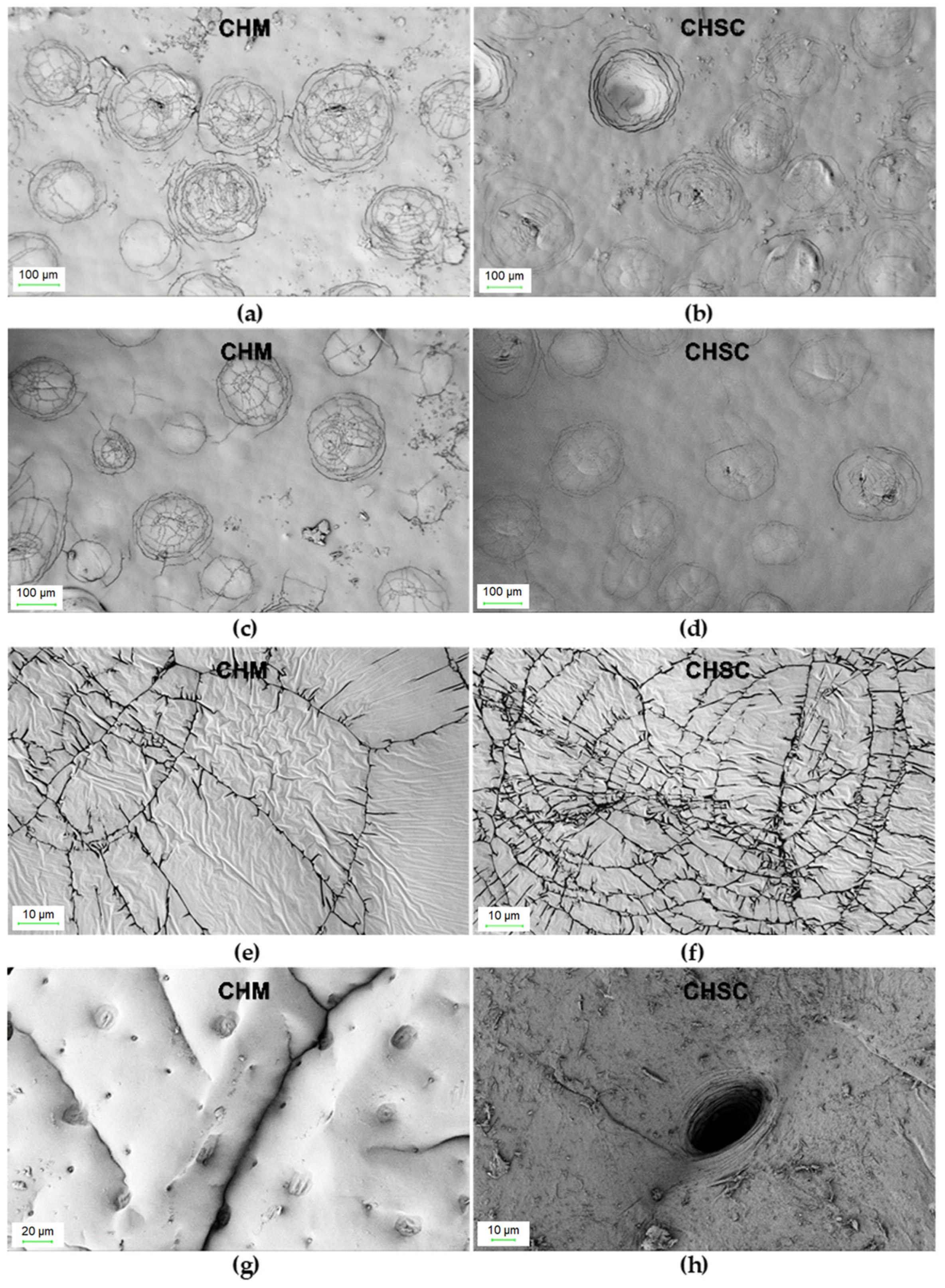 Materials 16 00545 g002