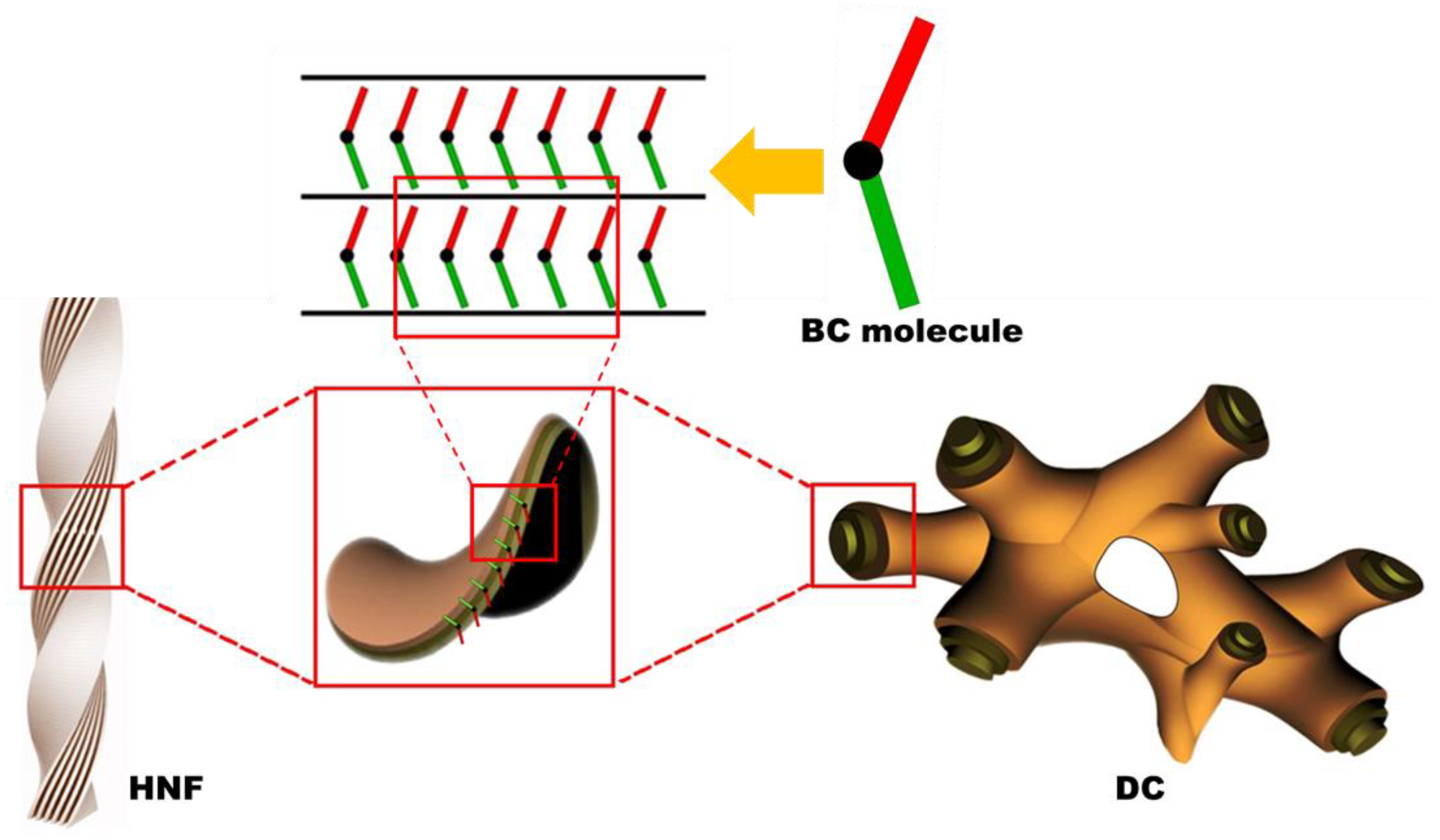 Materials 16 00548 g001