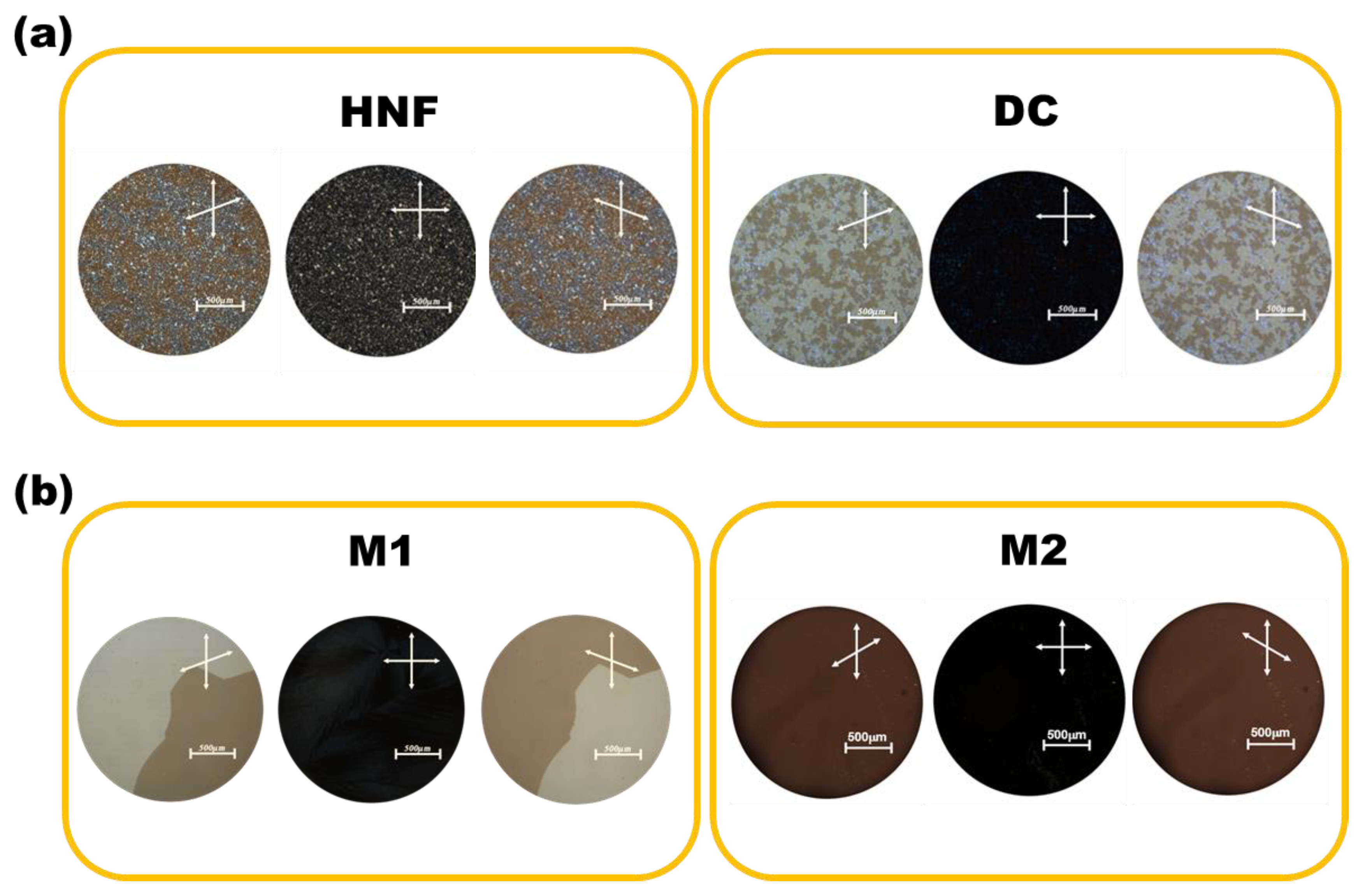 Materials 16 00548 g003