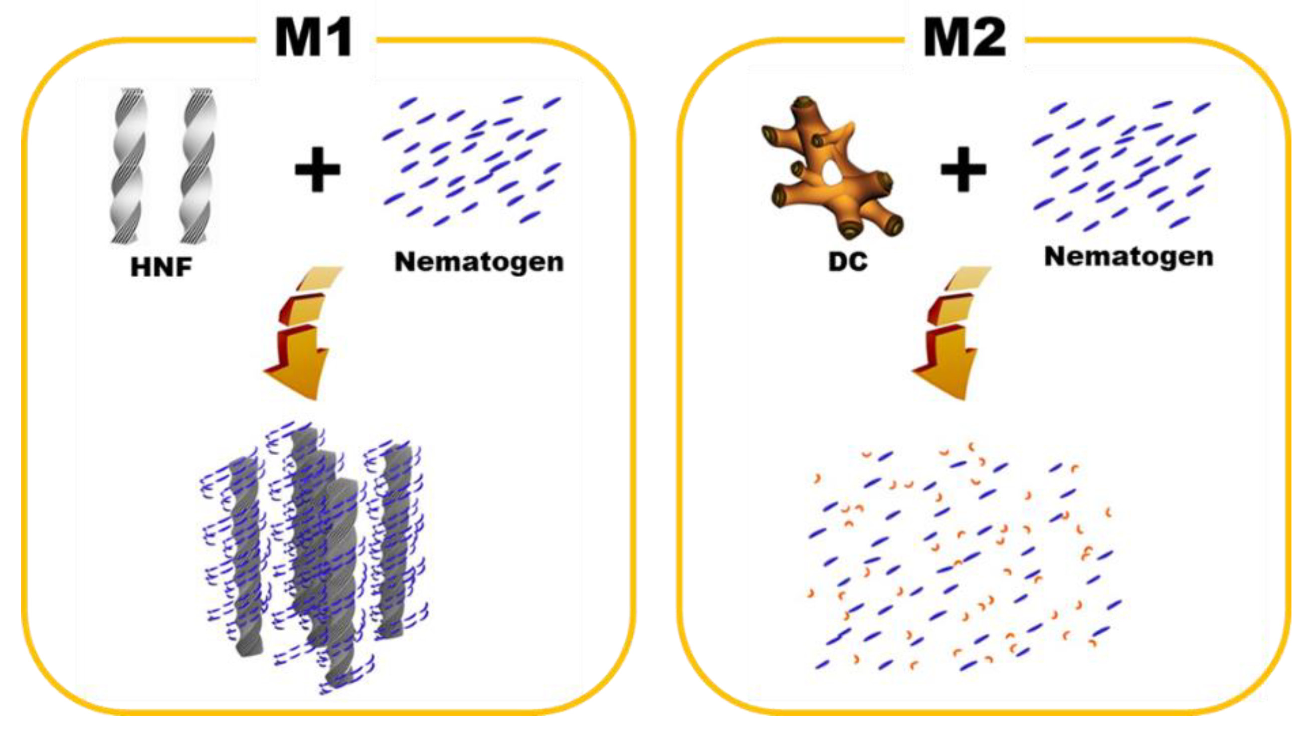 Materials 16 00548 g006