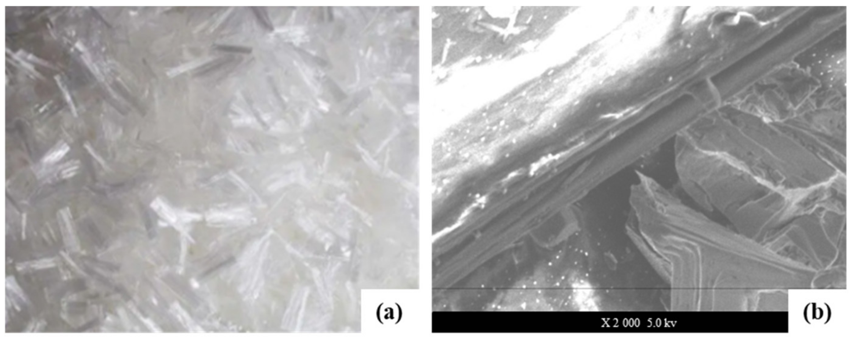 Materials 16 00549 g004