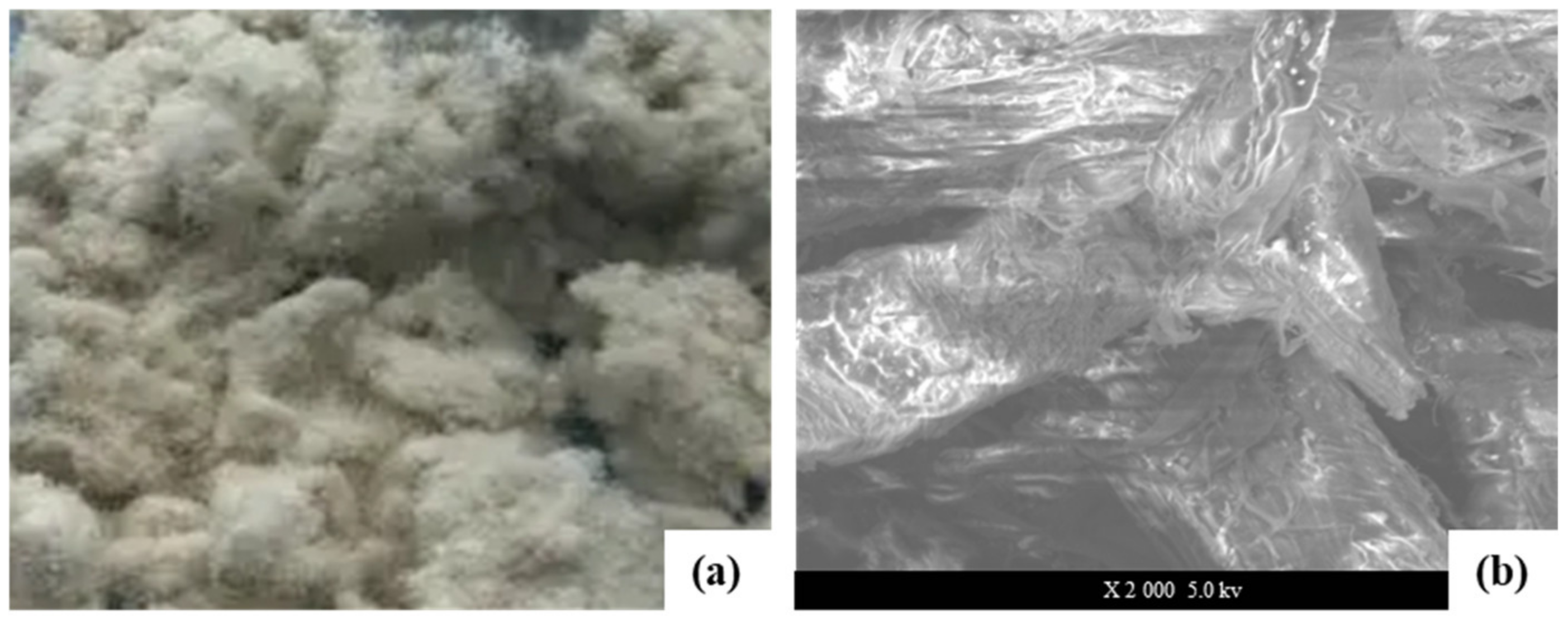 Materials 16 00549 g005