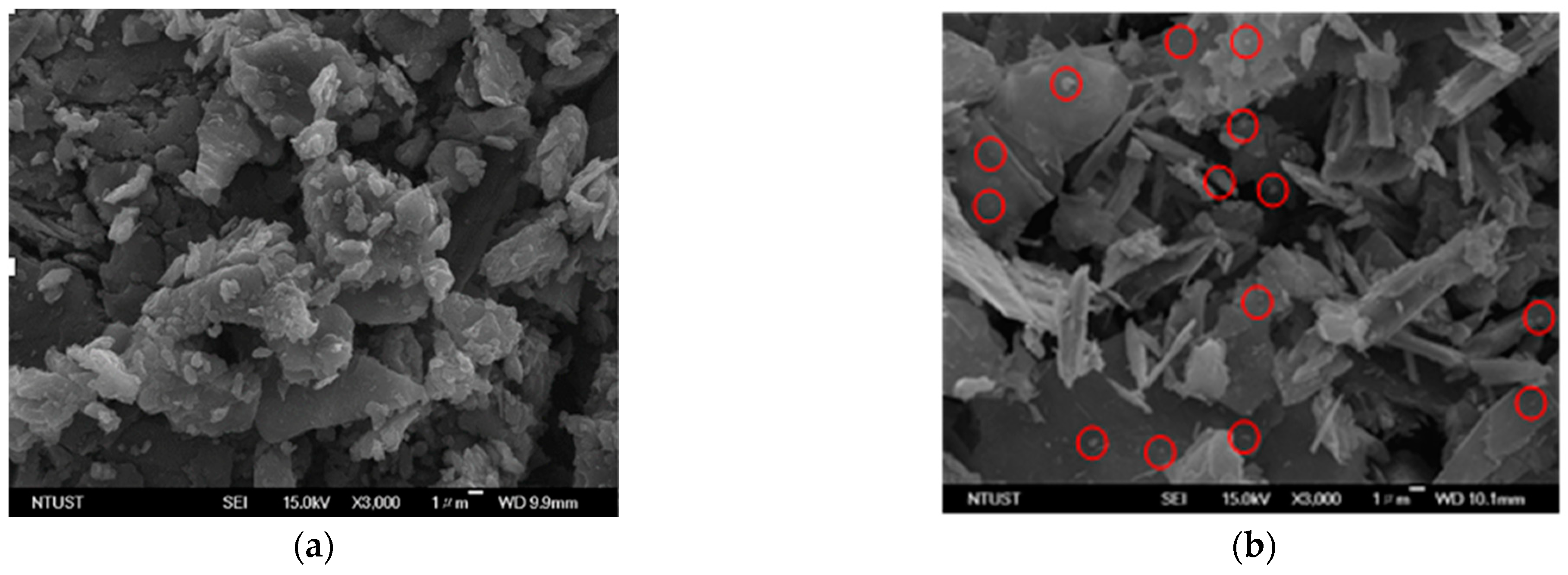 Materials 16 00555 g005a