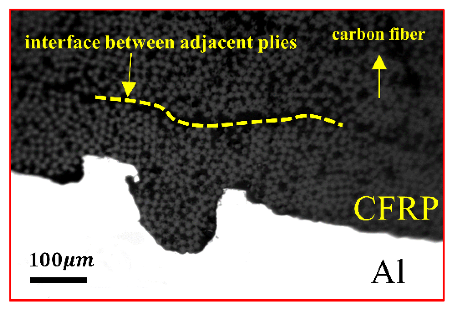 Materials 16 00560 g005
