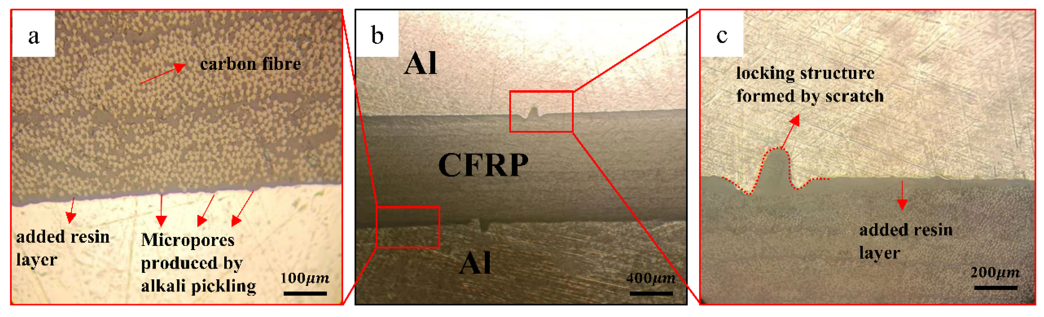 Materials 16 00560 g006