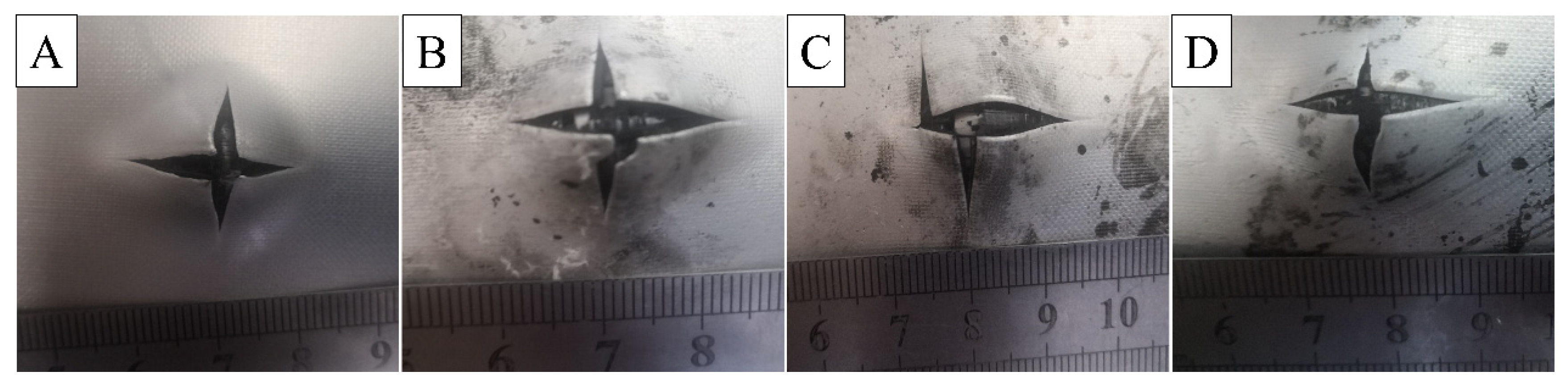 Materials 16 00560 g016