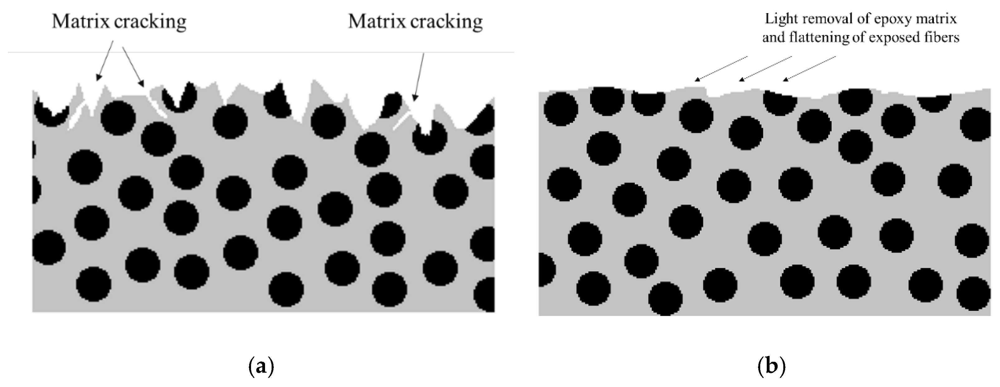 Materials 16 00568 g004