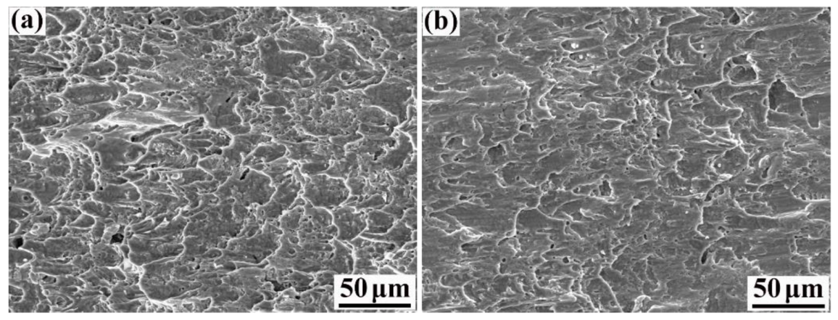 Materials 16 00571 g010