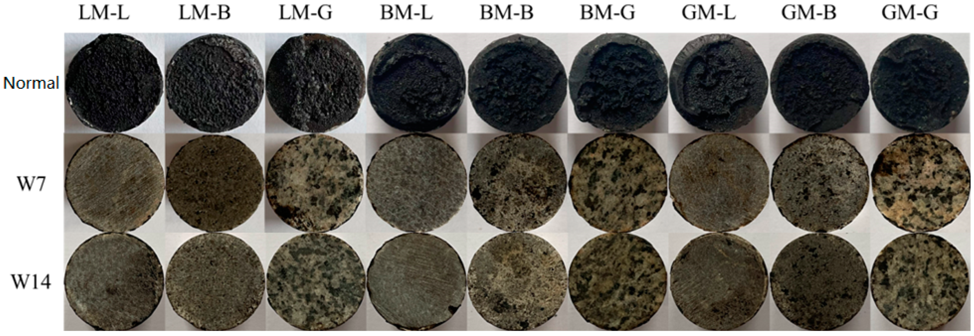 Materials 16 00574 g013