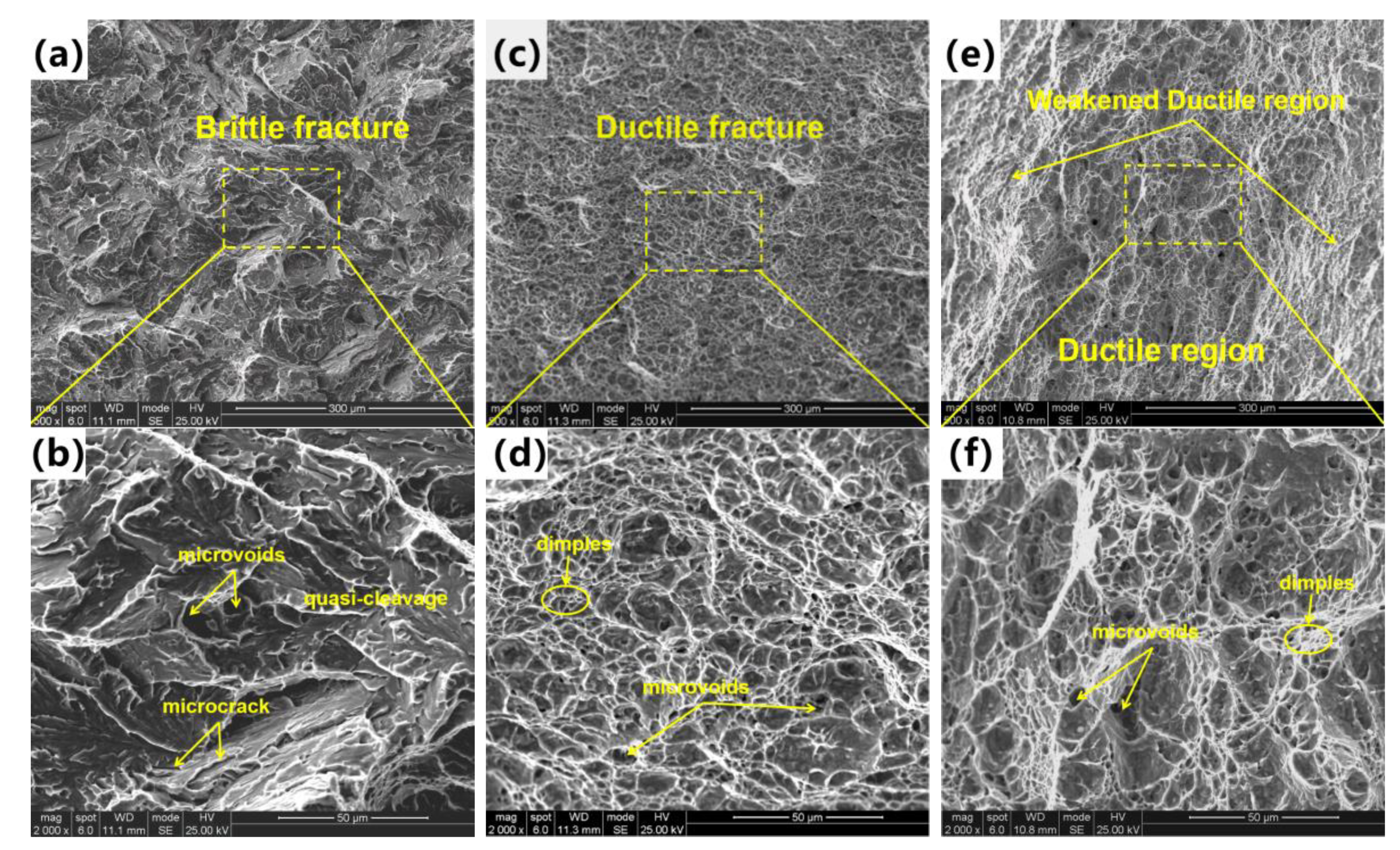 Materials 16 00581 g006