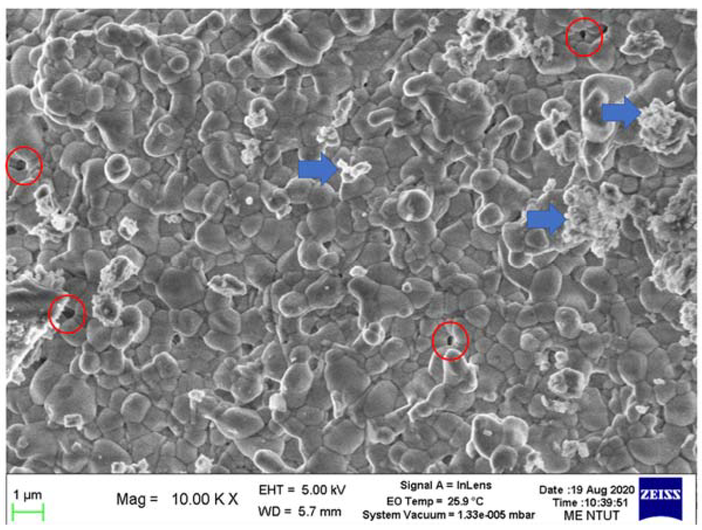 Materials 16 00585 g010
