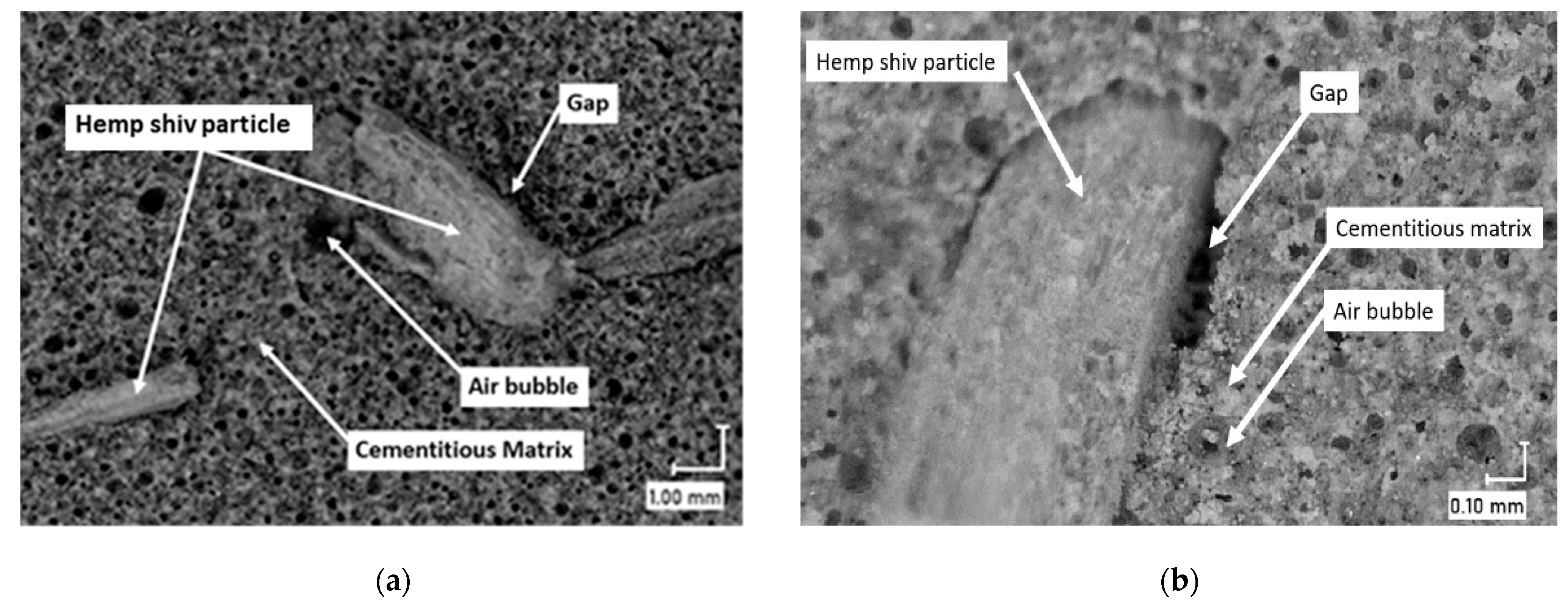 Materials 16 00591 g004