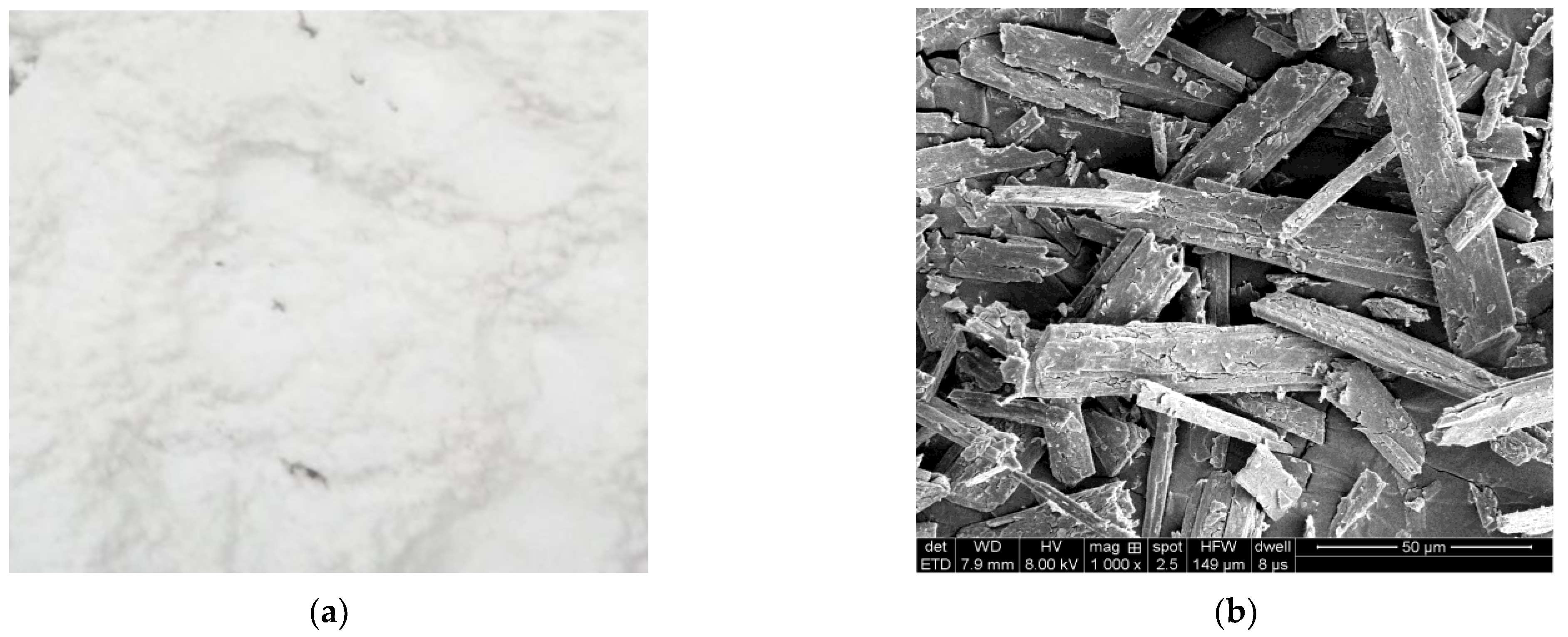 Materials 16 00594 g001