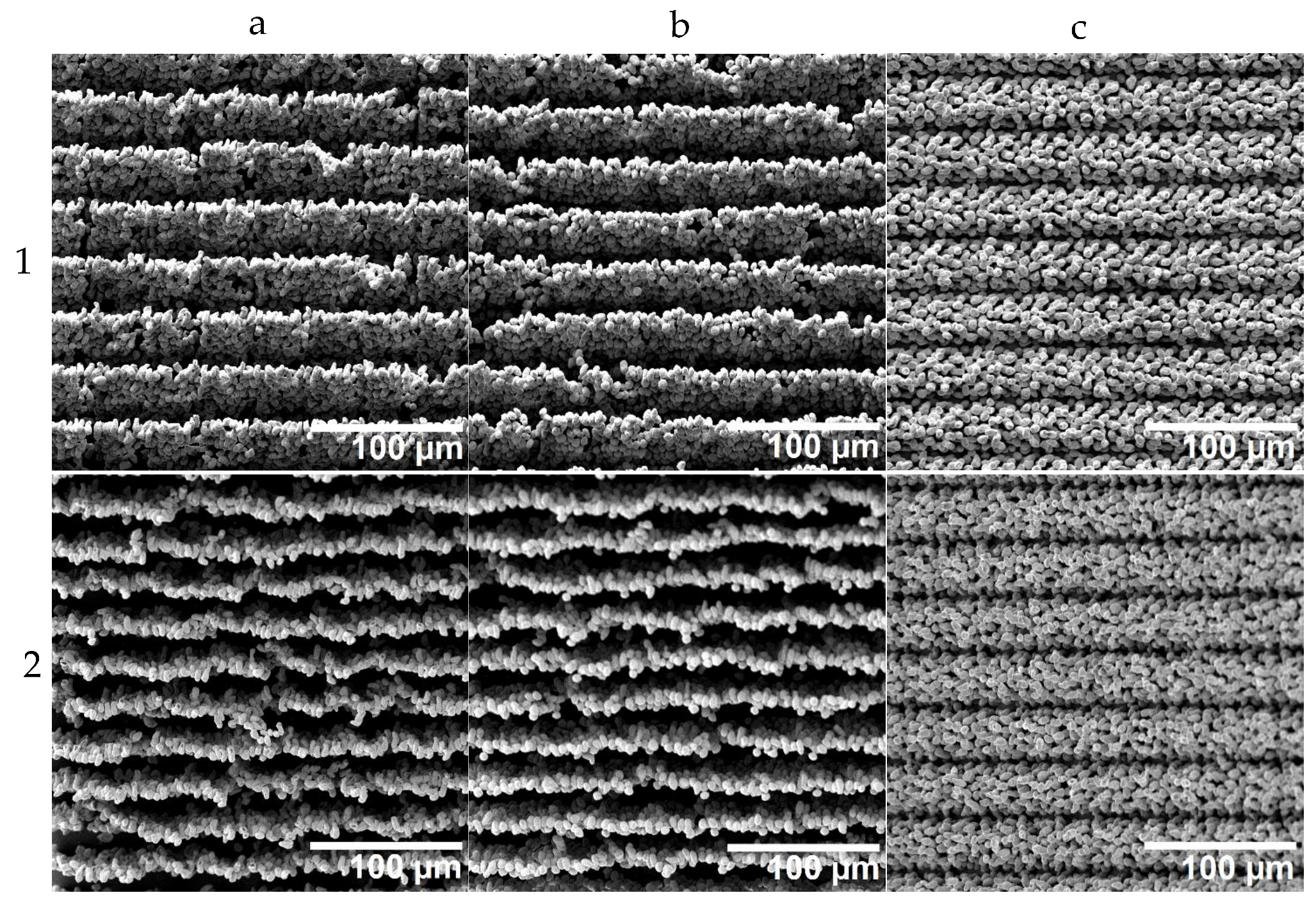 Materials 16 00596 g007