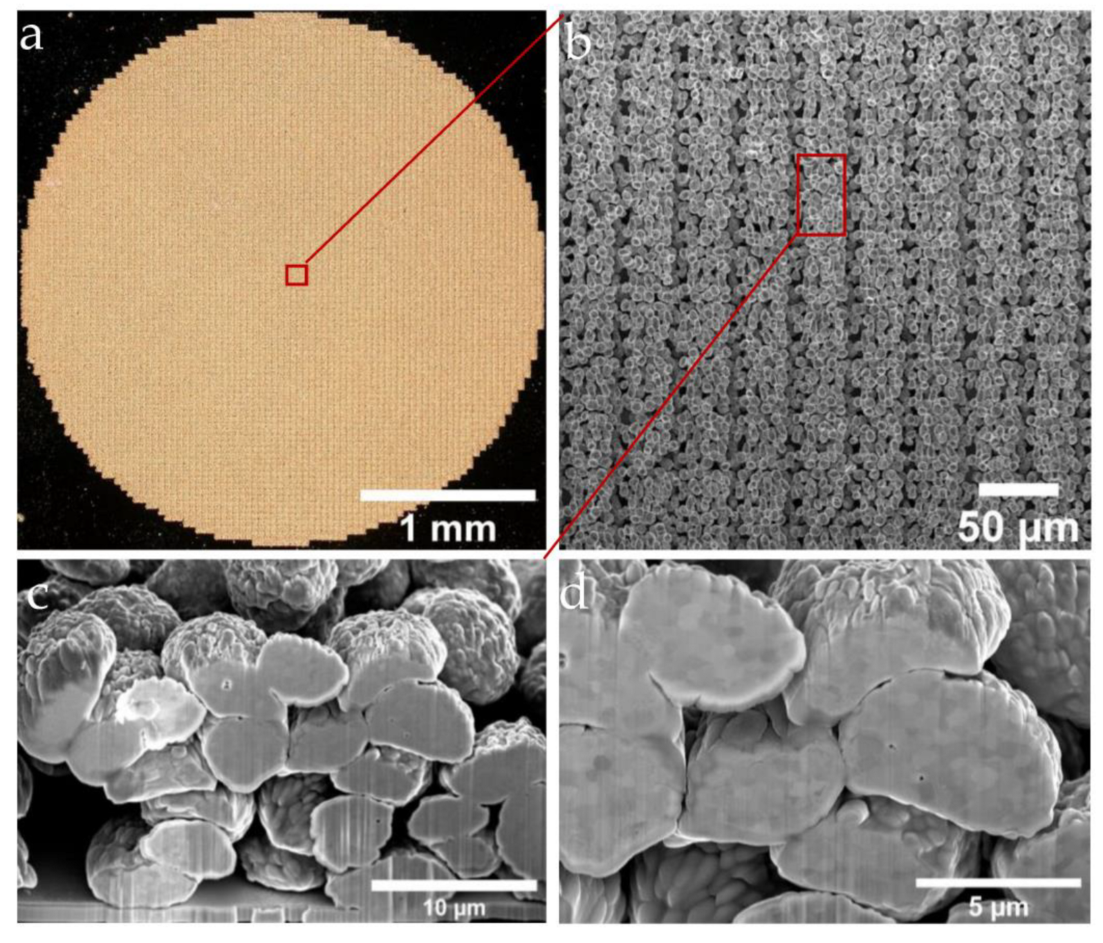 Materials 16 00596 g008