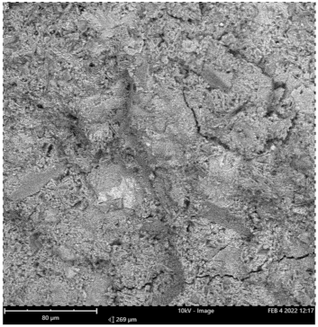 Materials 16 00598 i001