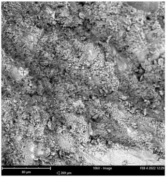 Materials 16 00598 i003