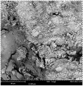 Materials 16 00598 i004