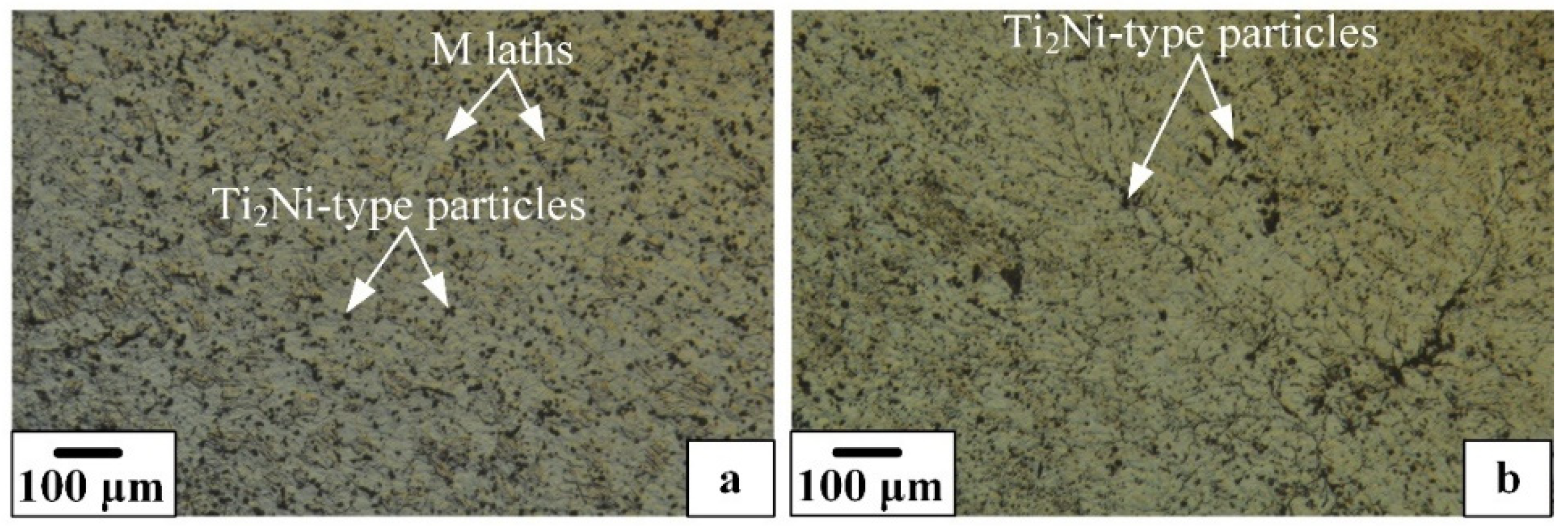 Materials 16 00615 g004