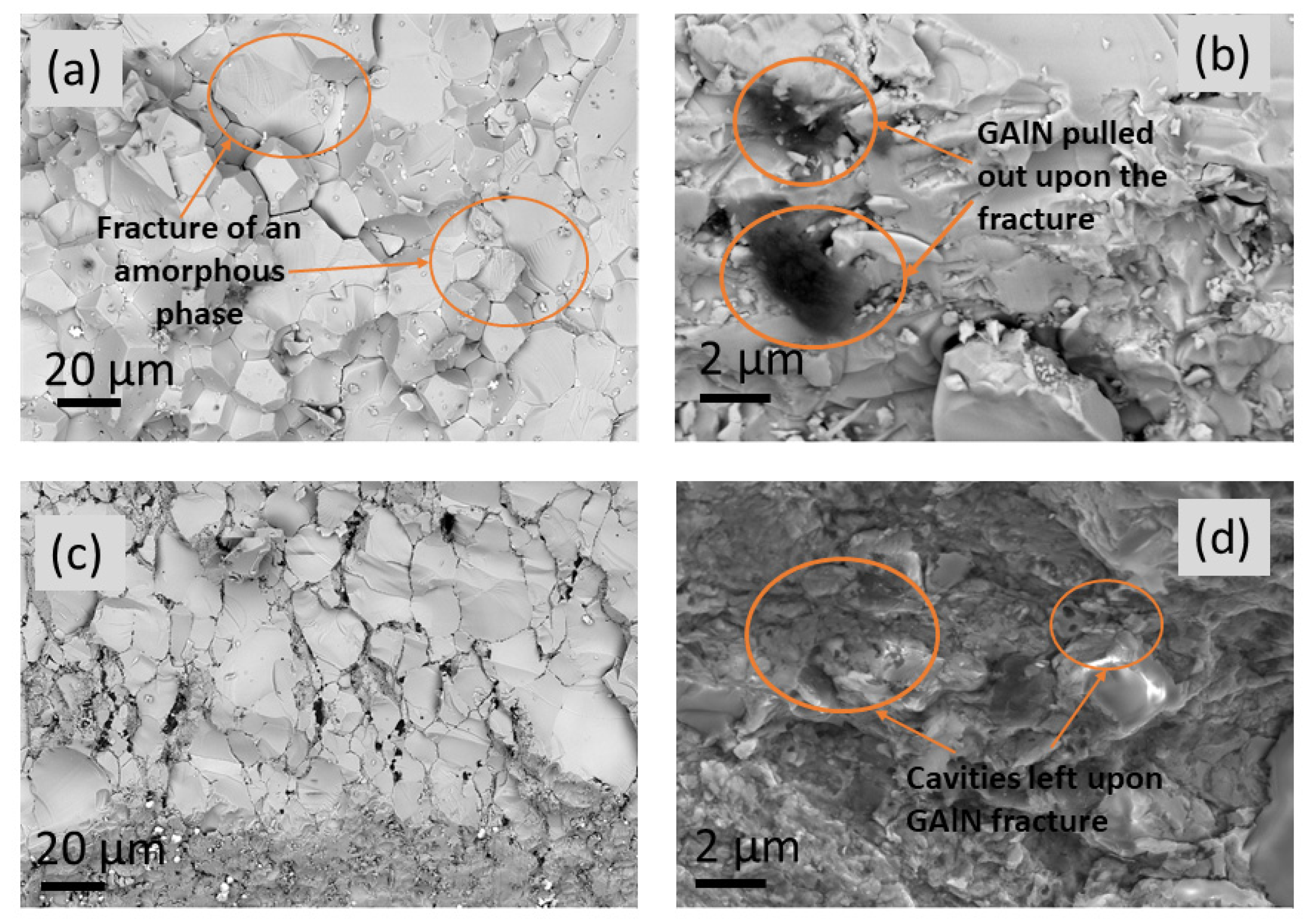 Materials 16 00618 g016