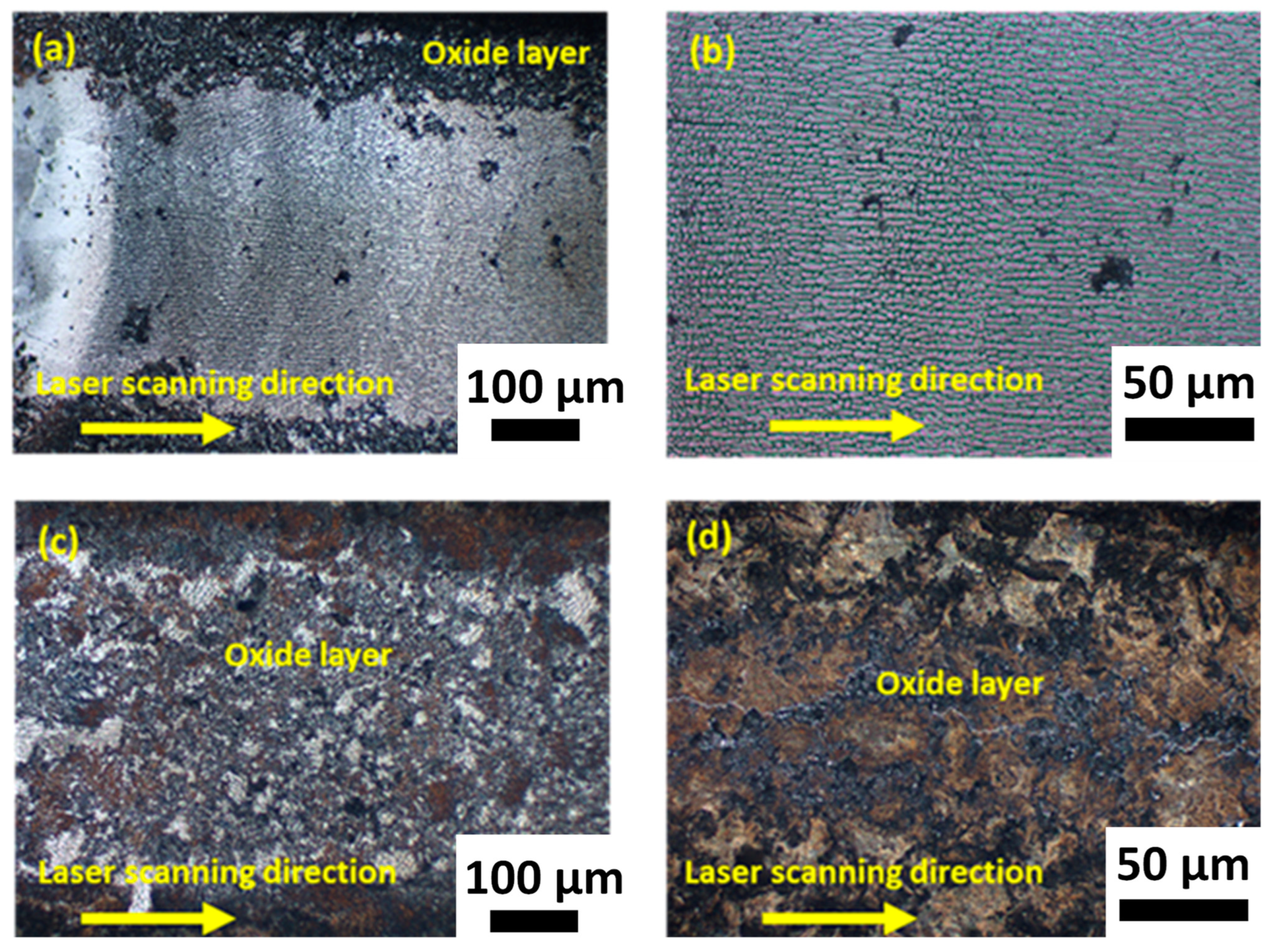 Materials 16 00636 g010