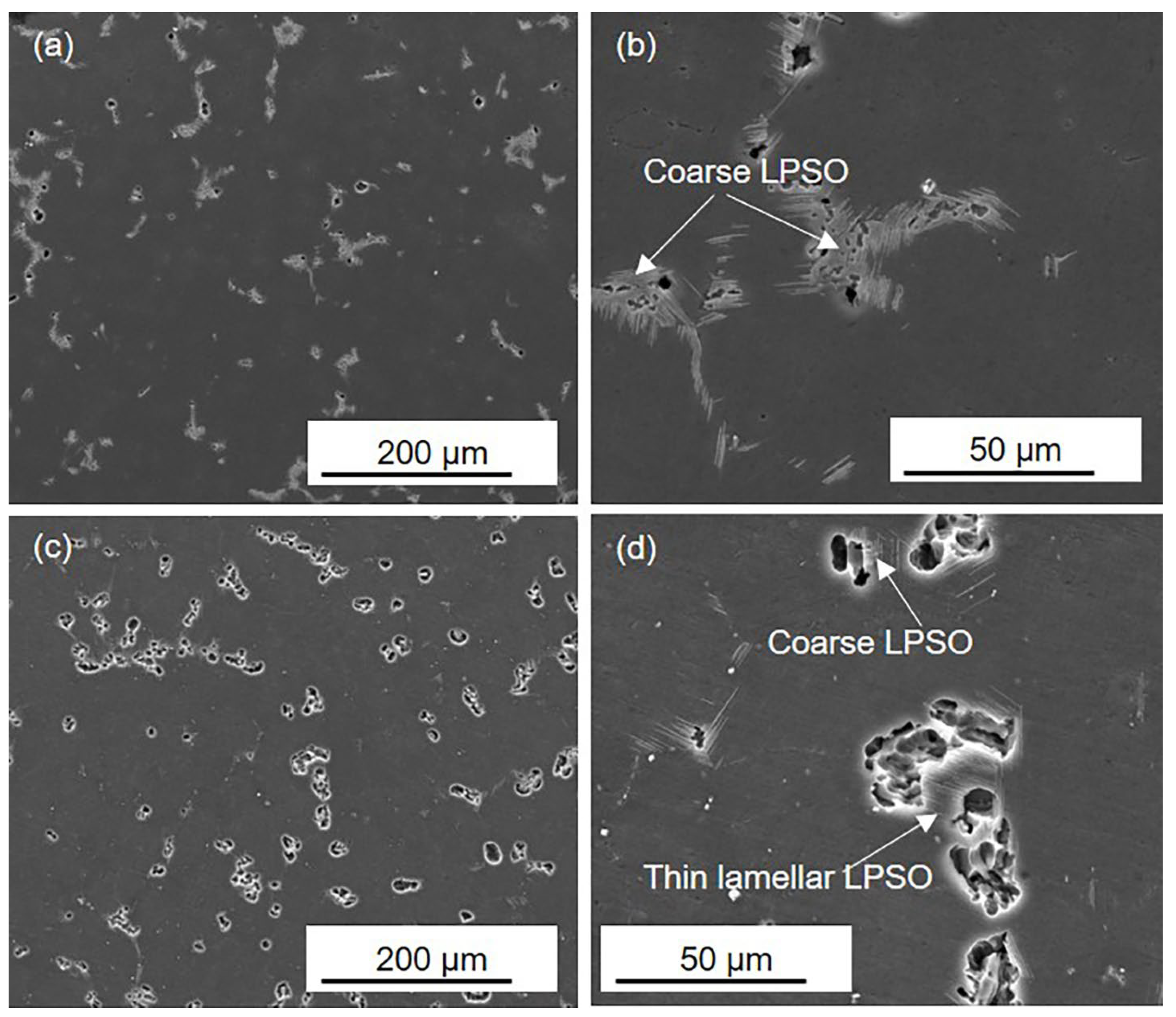 Materials 16 00640 g004