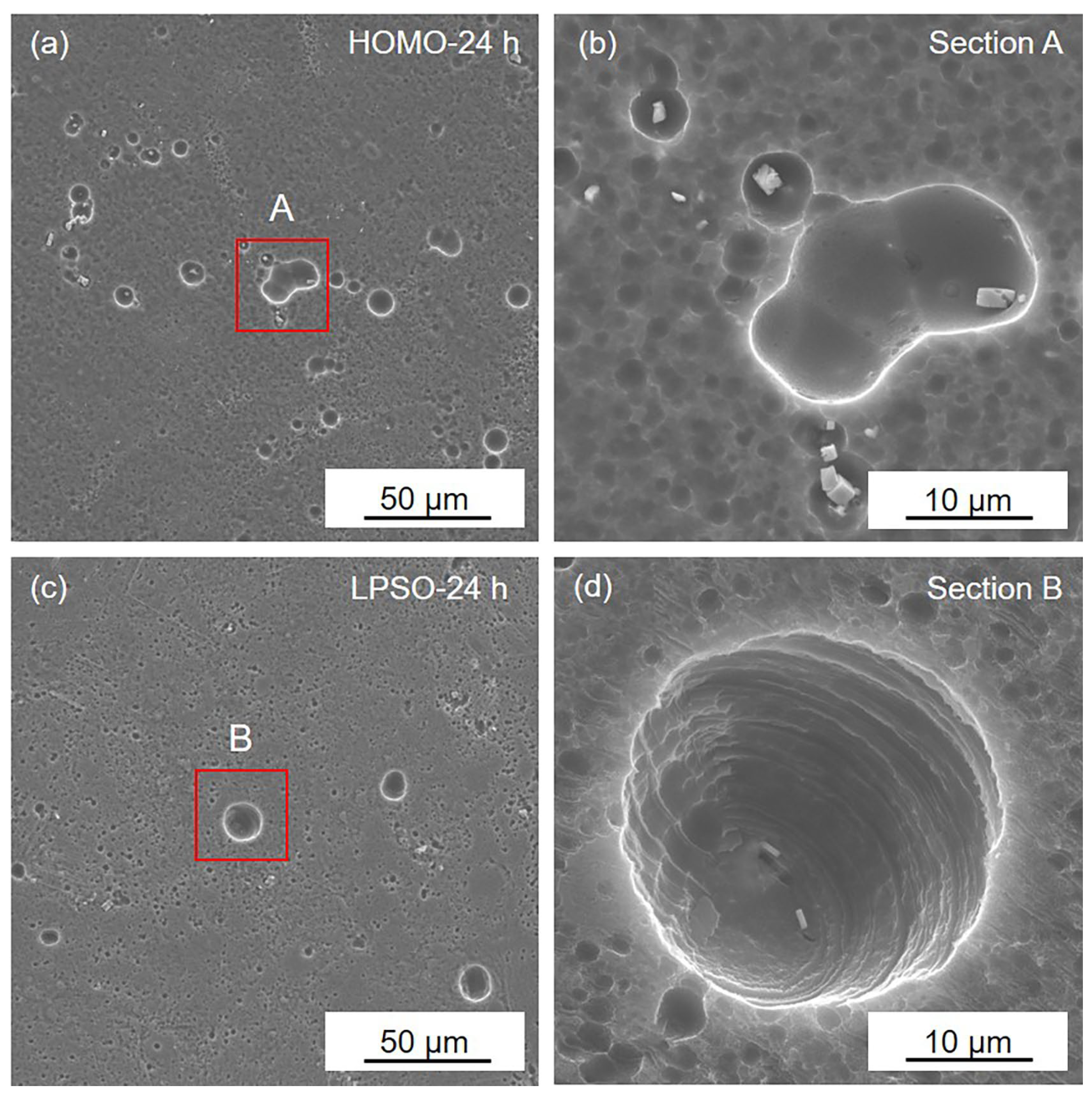 Materials 16 00640 g005