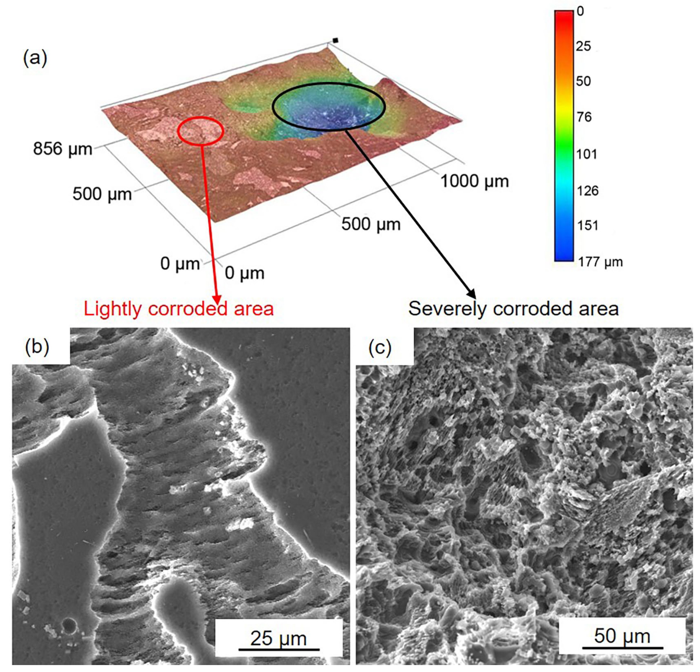 Materials 16 00640 g006