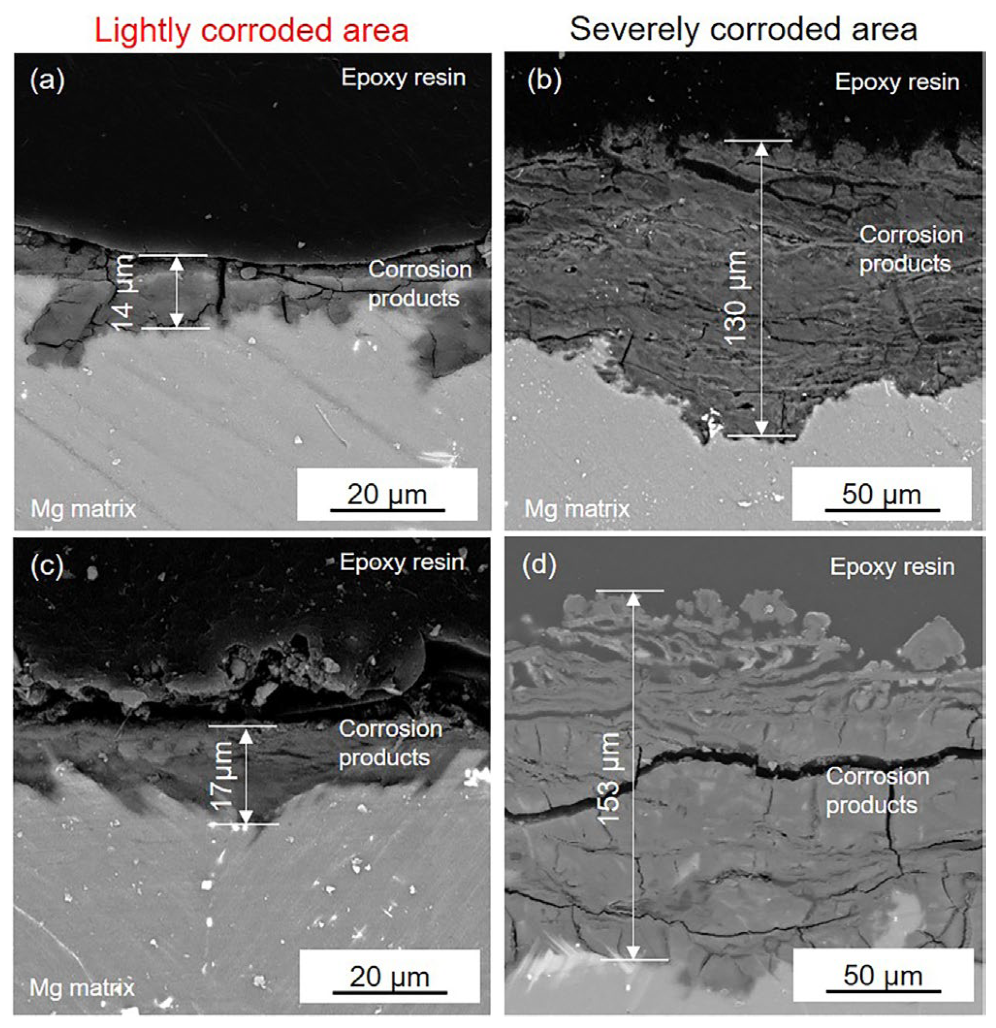 Materials 16 00640 g008
