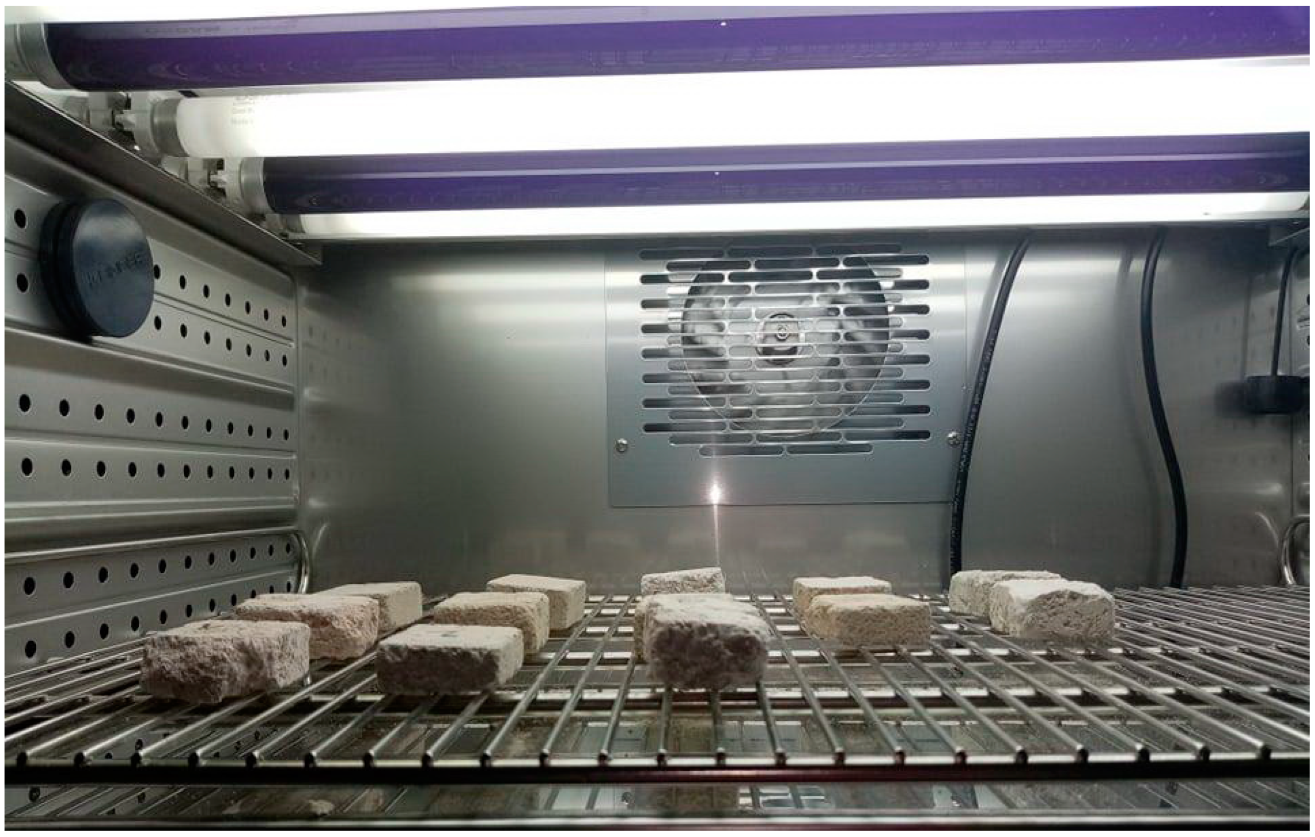 Materials 16 00642 g003