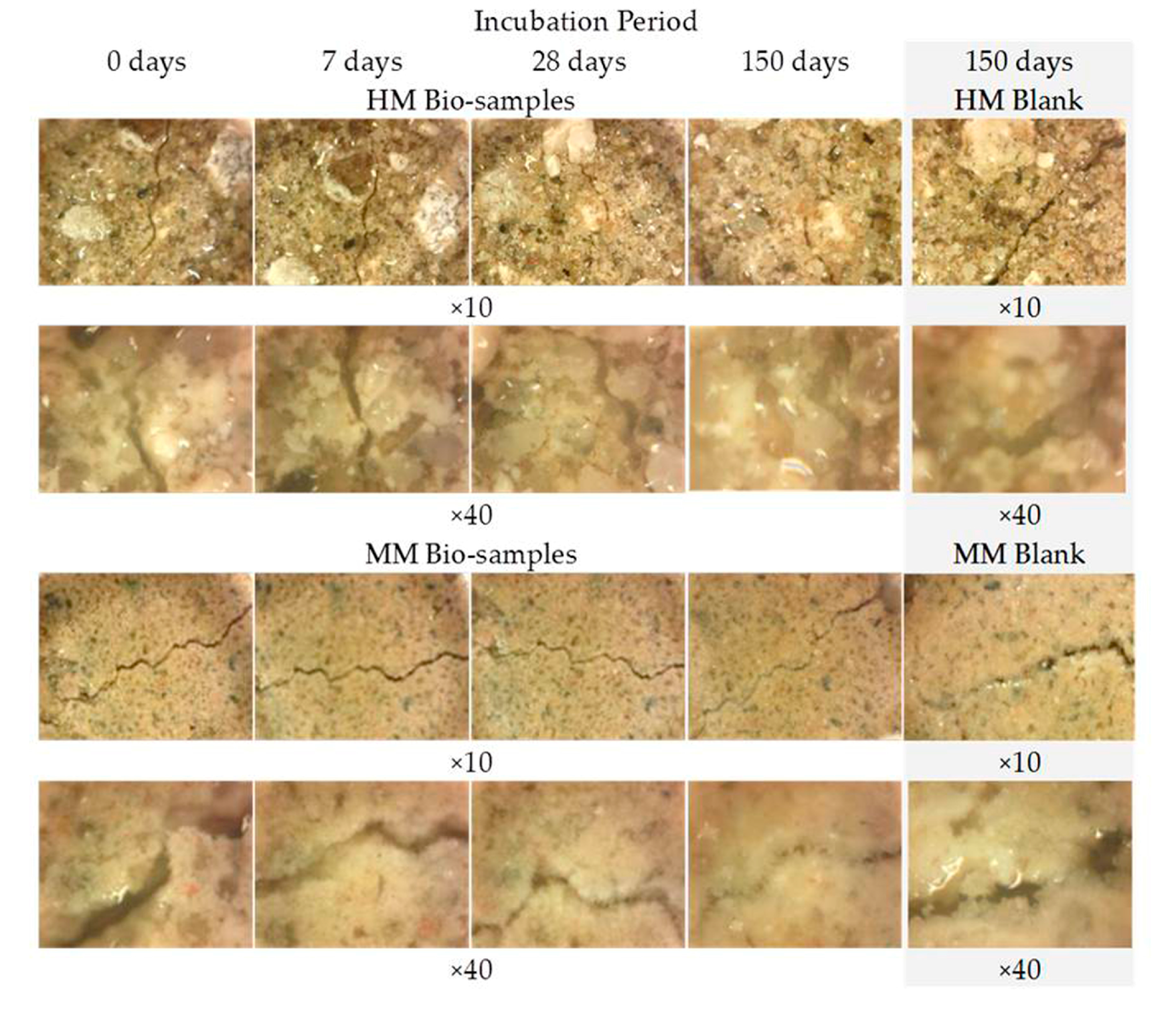 Materials 16 00642 g008