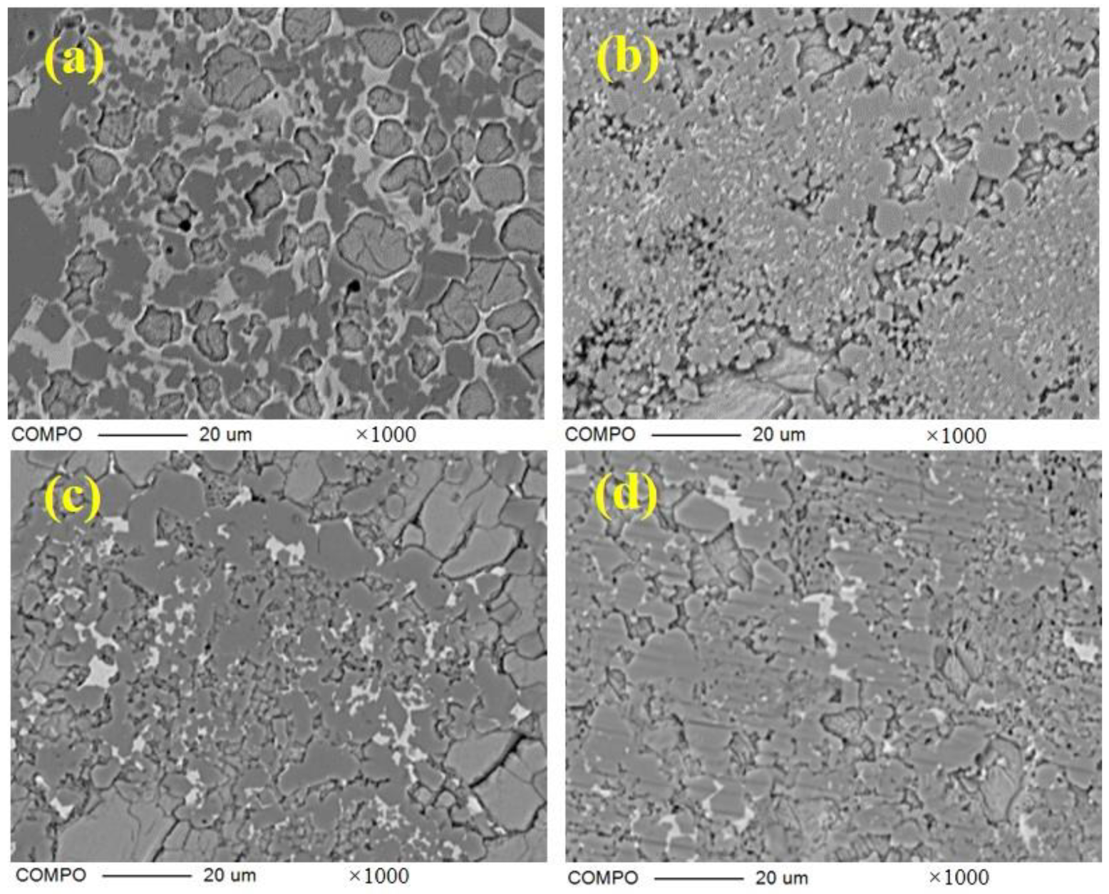 Materials 16 00643 g005