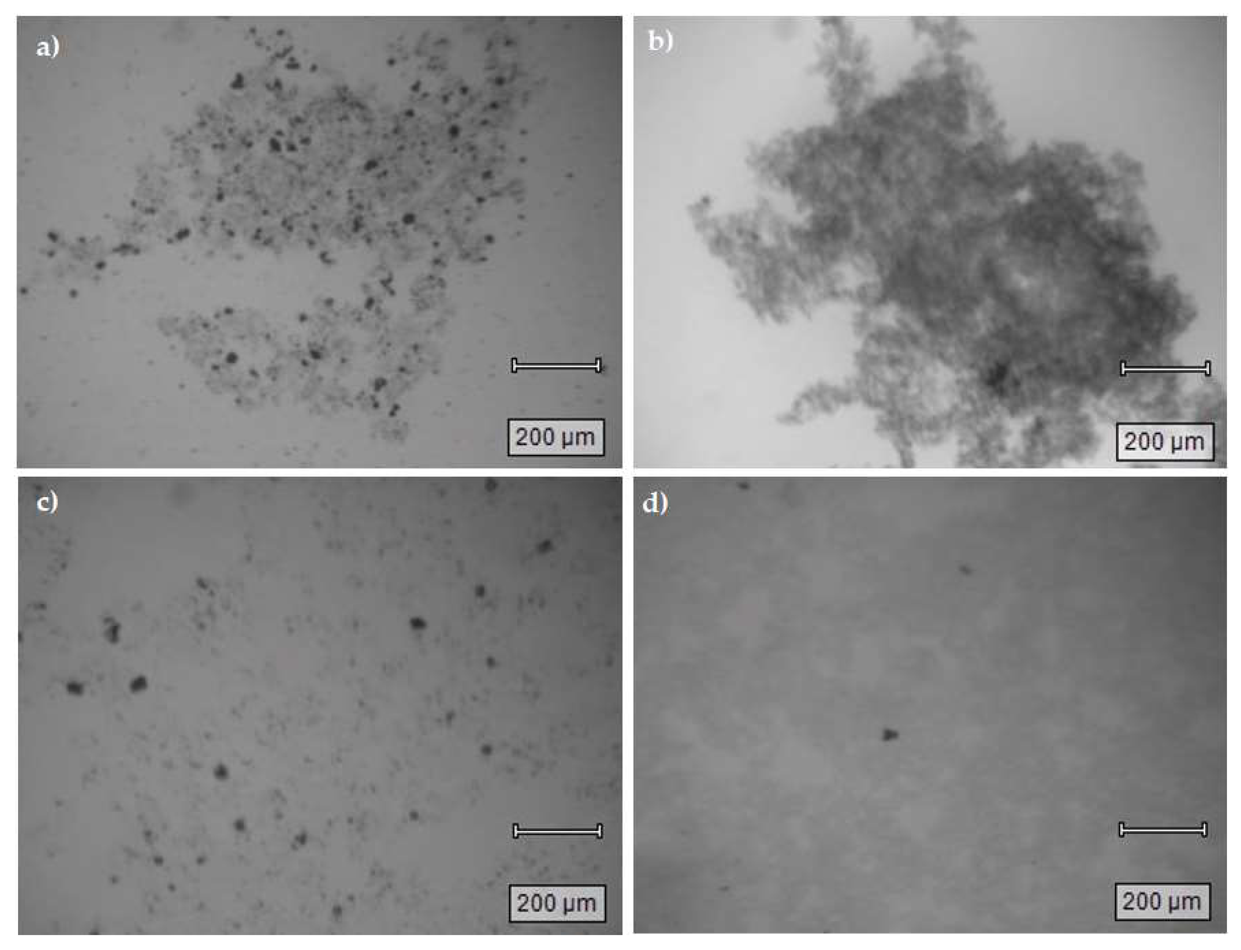 Materials 16 00655 g006