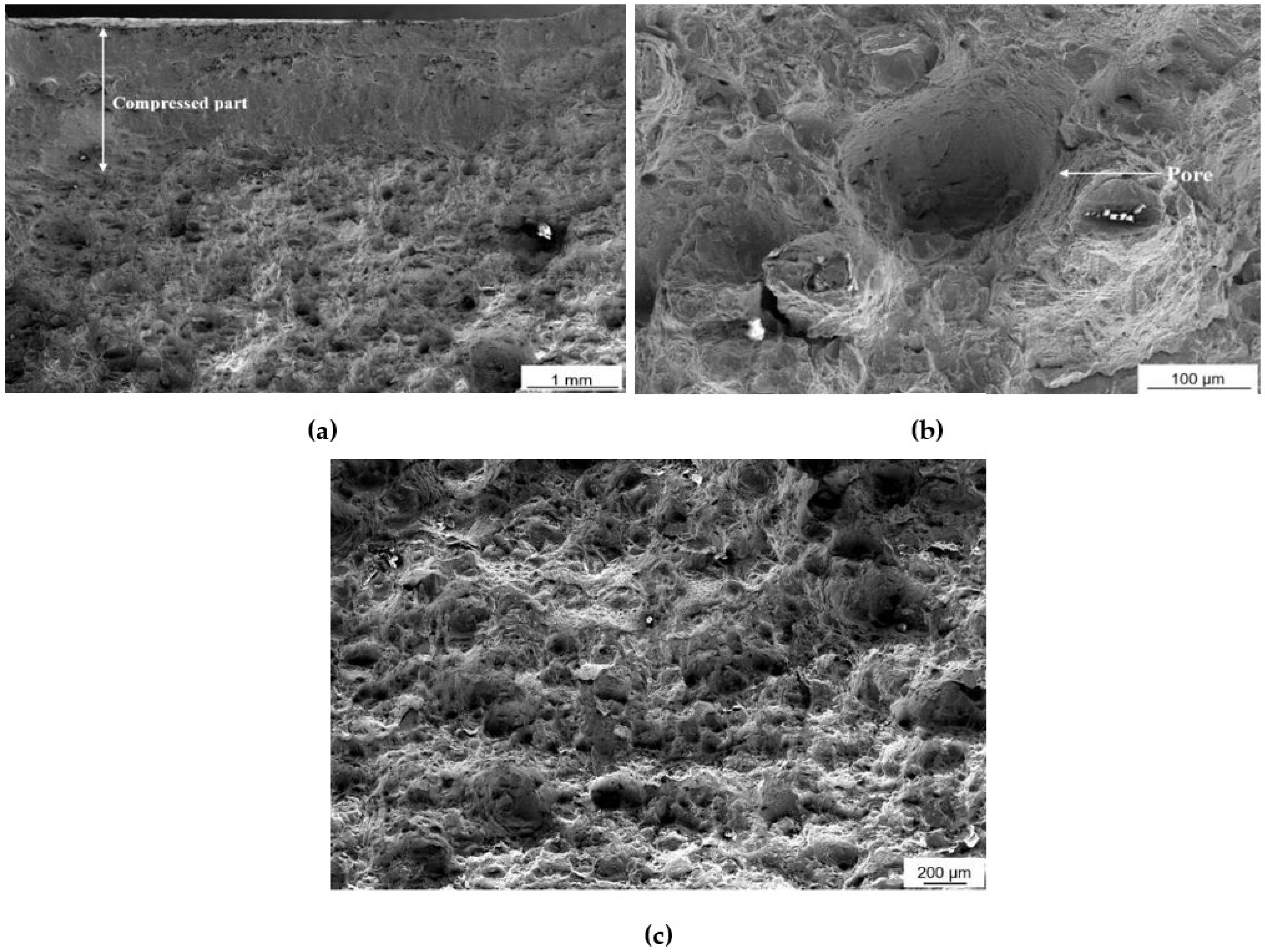 Materials 16 00663 g003