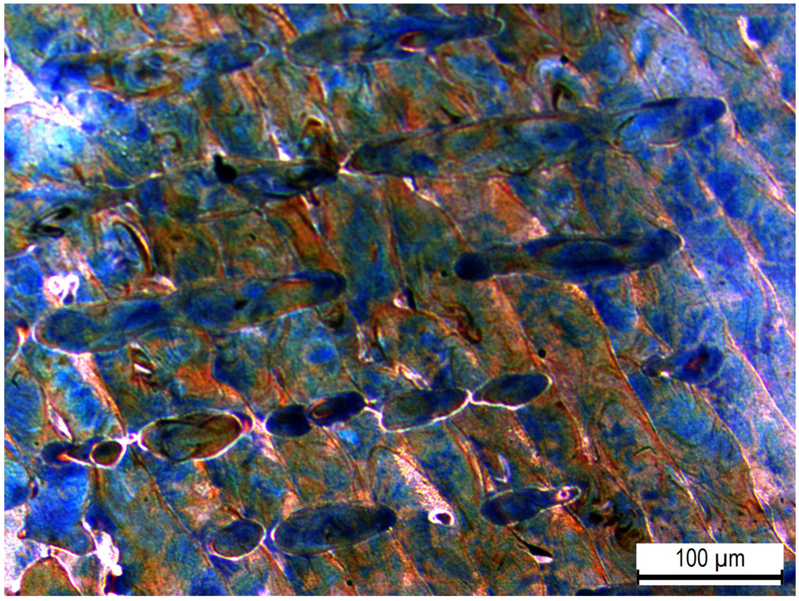 Materials 16 00663 g004