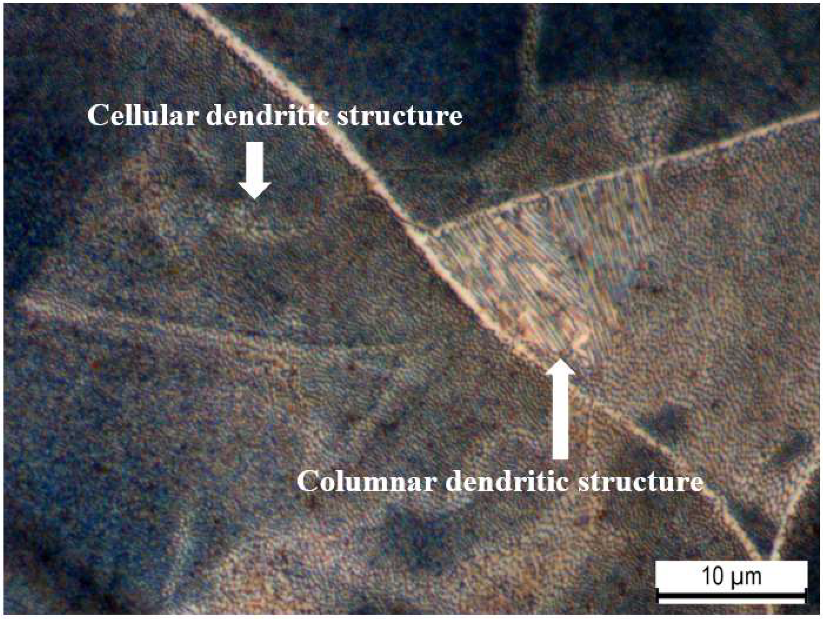 Materials 16 00663 g005