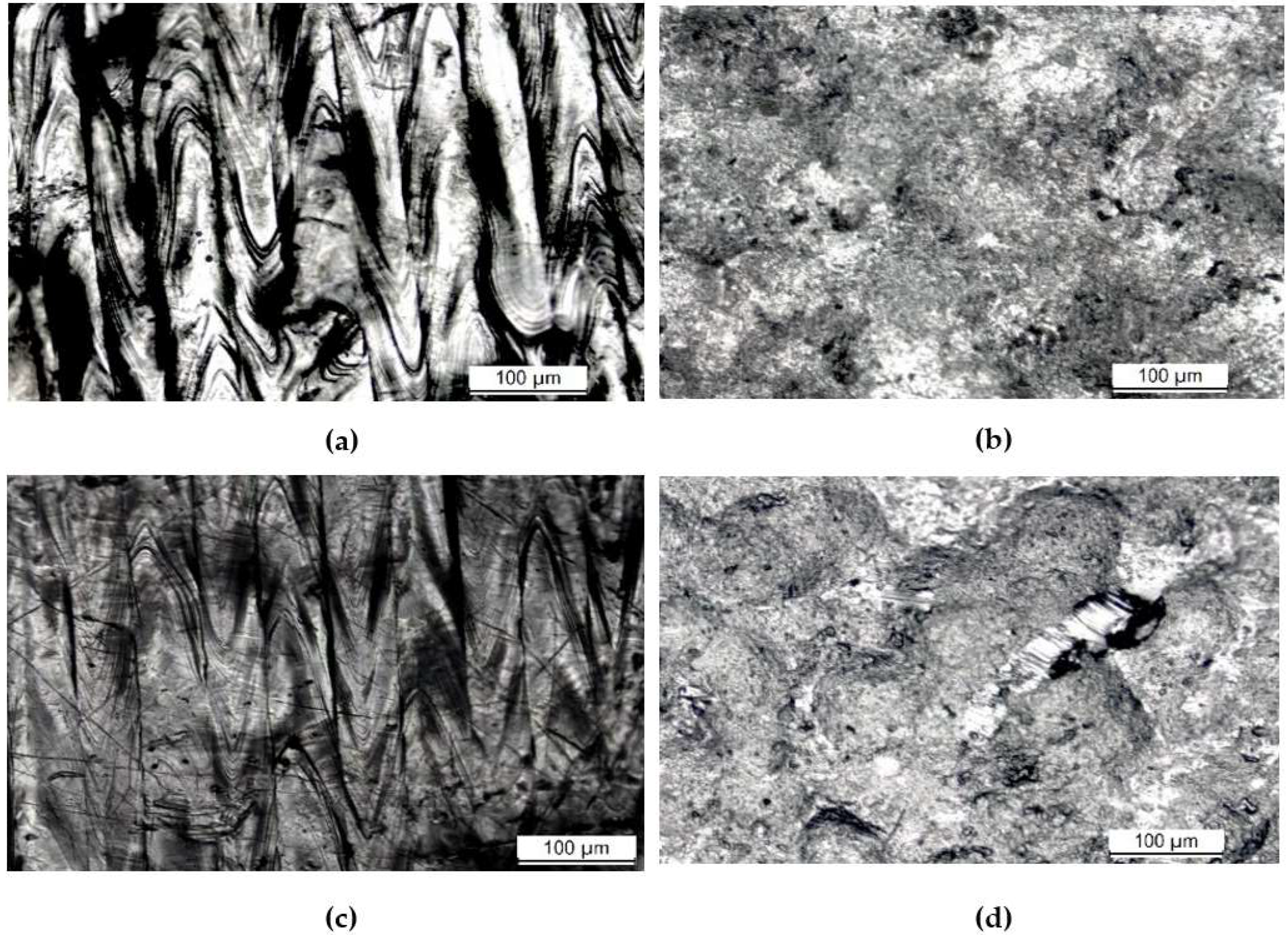 Materials 16 00663 g006