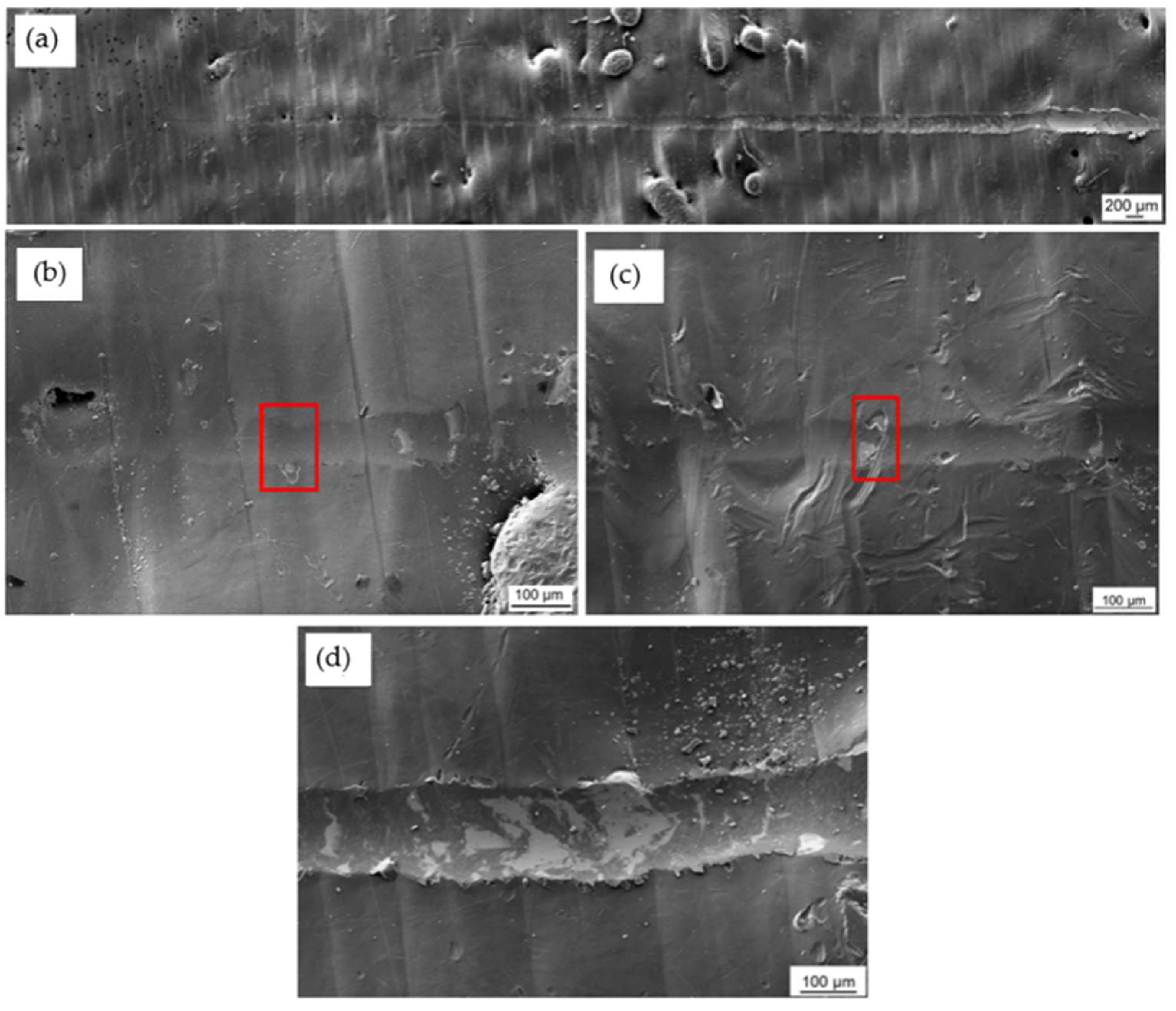 Materials 16 00663 g012
