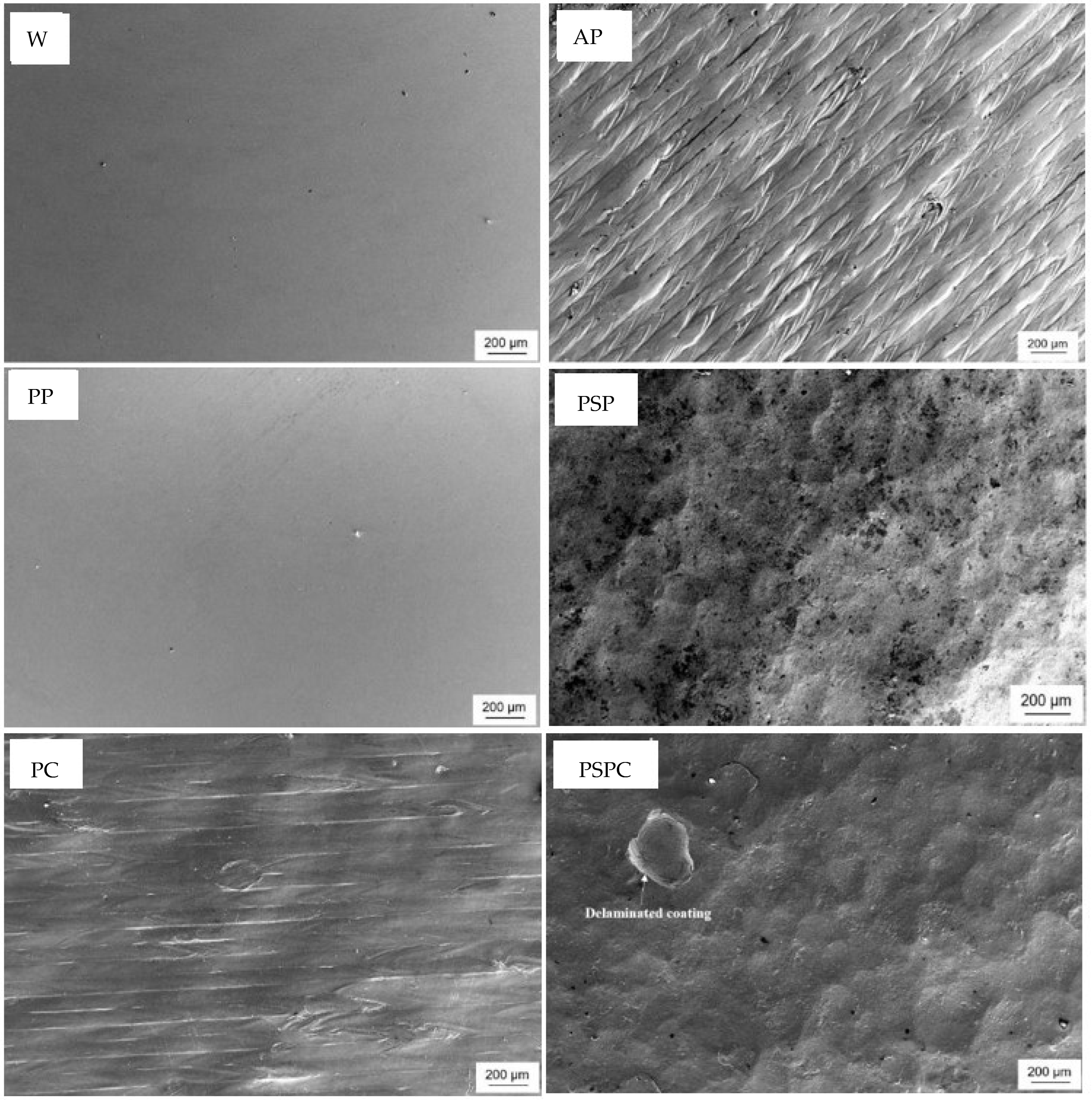 Materials 16 00663 g016