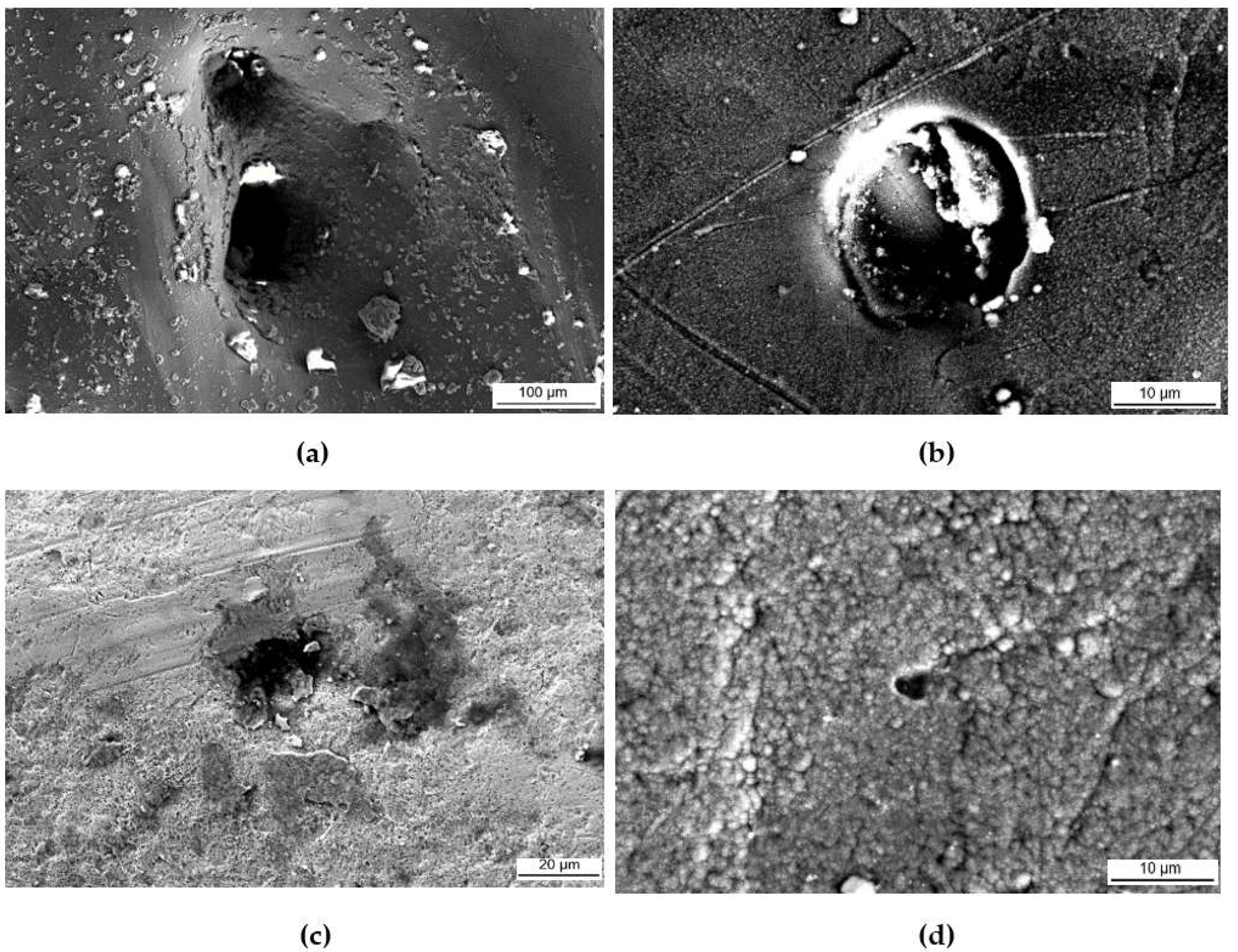 Materials 16 00663 g017